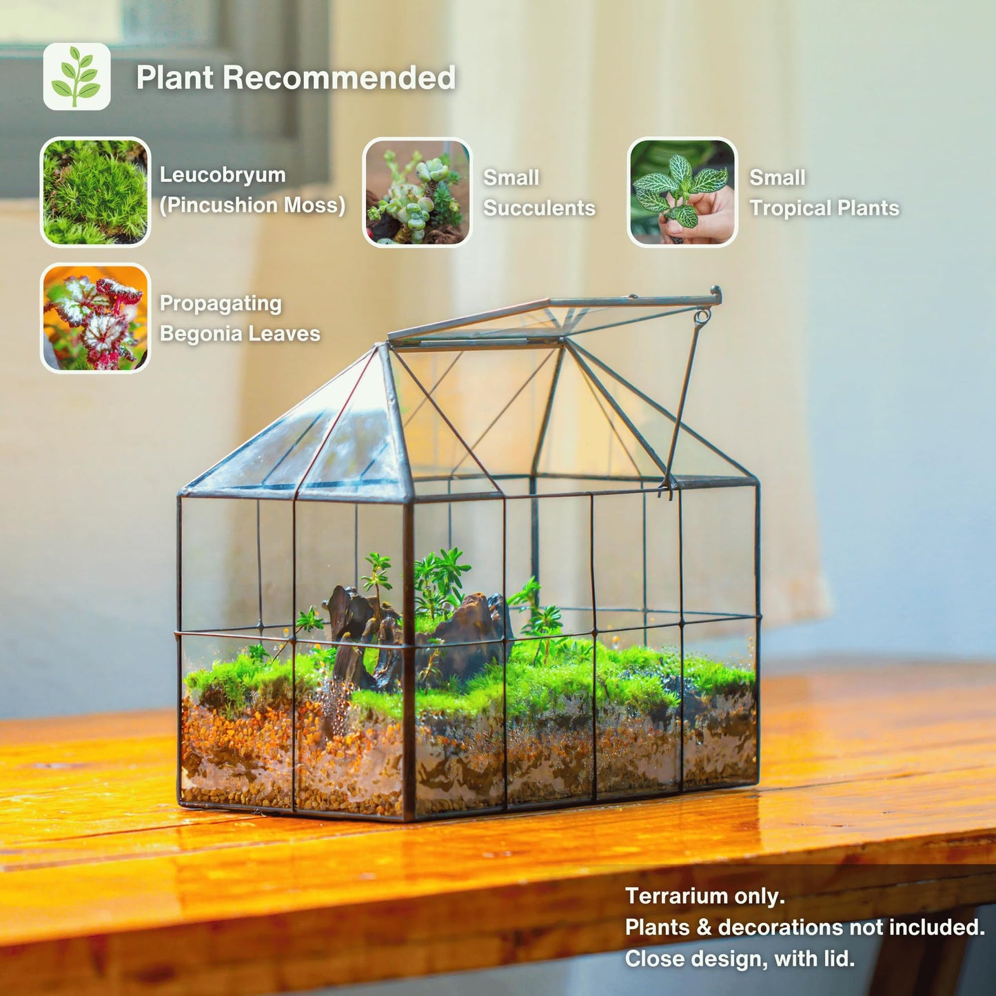 NCYP Glass Terrarium Planter with Lid for Small Succulent Plants, Grid House Shape Black Geometric Terrarium Pot, Home Garden Indoor Tabletop Decor, 9.84" x 5.31" x 7.87" (No Plants)