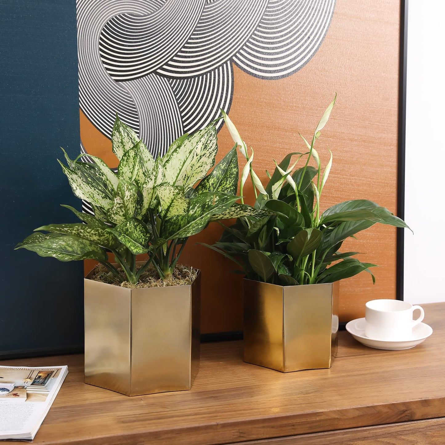 MyGift Handcrafted Metallic Shiny Brass Metal Indoor Plant Vase Pot with Hexagon Shape, Decorative Succulent Cactus Planter Container, Set of 2 - Handmade in India