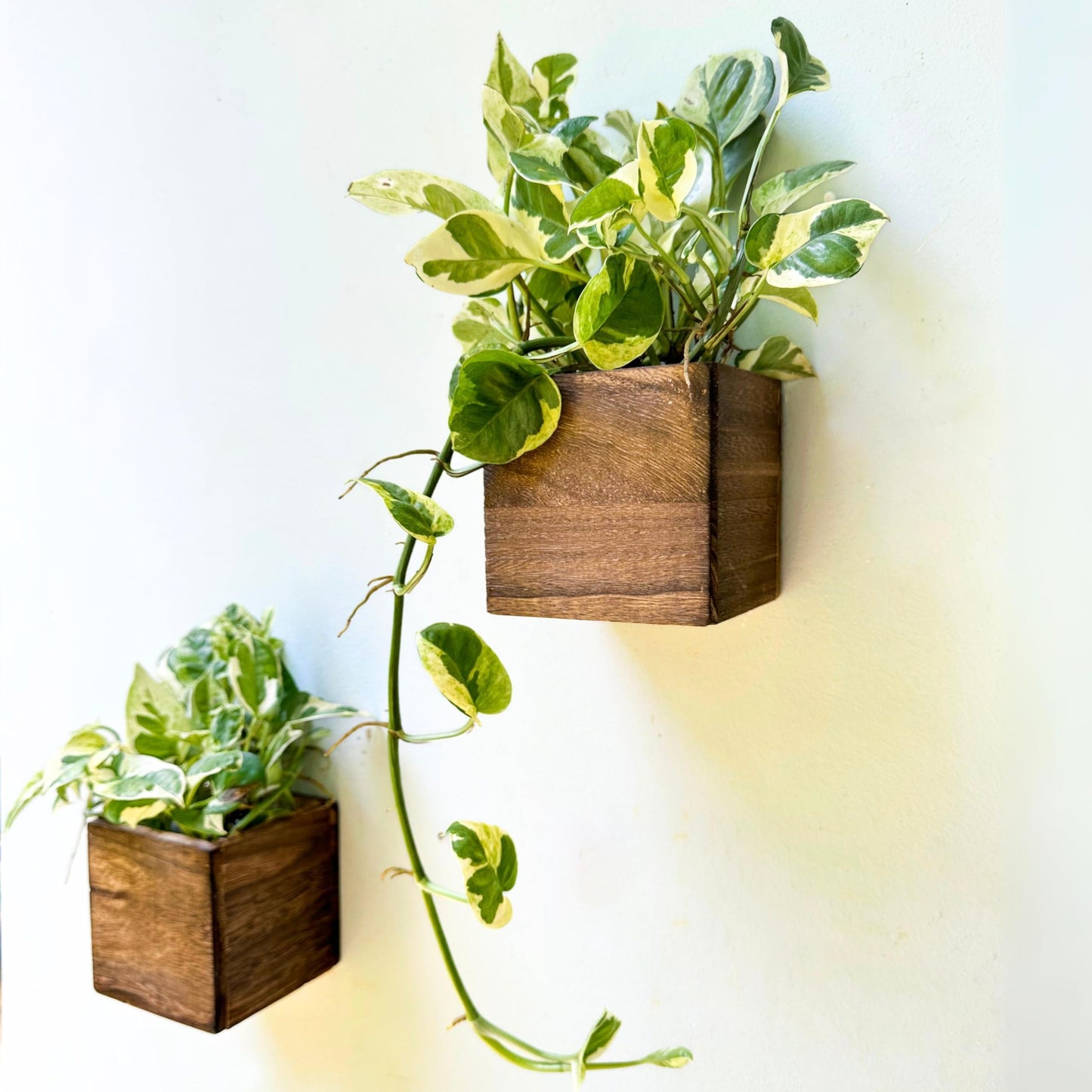 LaLaGreen Wood Planter Box for Plants (4x4 Inch, 2 Pack) Small Square Wall Planters for Indoor Plant, Window Hanging Flower Pot Wooden Boxes for Table Centerpiece Herb Balcony Home Garden Office Decor