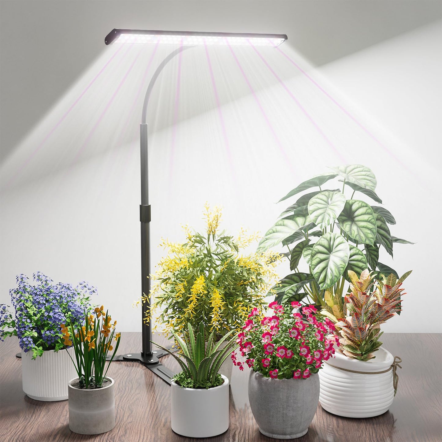 GYTF Super-Bright Plant Grow Light, 6000K 108LEDs Full Spectrum Plant Lamp with Timer 4/8/12Hrs & Height Extendable for Home Office Desktop Indoor Plants, 12V 3A High Power Output for Faster Growth