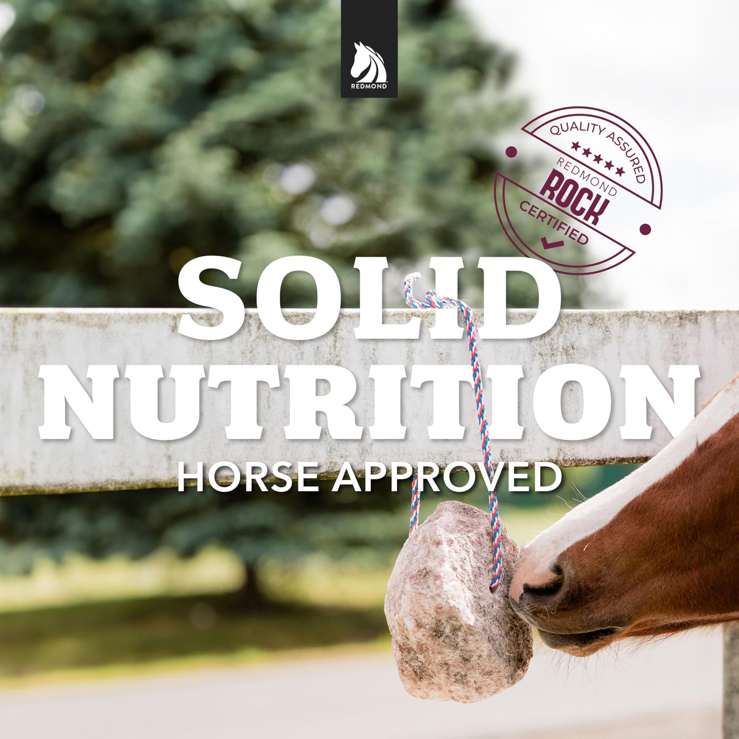 Redmond - Rock on a Rope Unrefined Salt Rock for Horses; 3 to 5 lbs- …