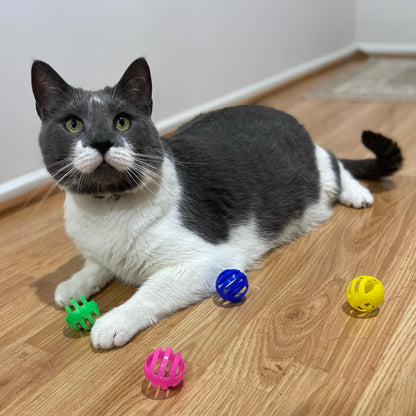 SPOT Slotted Balls Cat Toy - Interactive Cat Toys for Indoor Cats to Chase, Hunt and Stimulate - Jingle Bell Inside for Sound When Batted Around - Safe and Non-Toxic - 1.5" Assorted 4-Pack