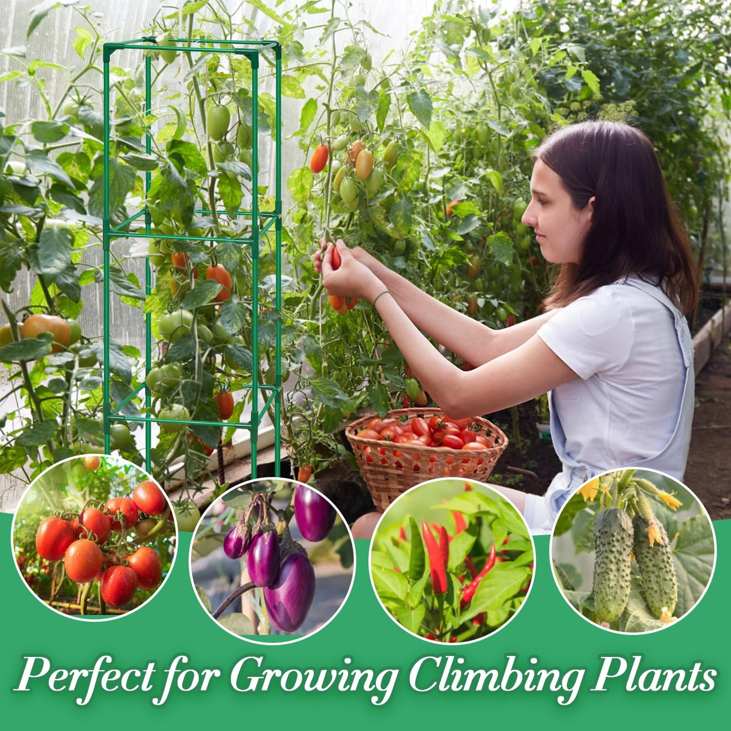 LifeisLuck 3 Pack Tomato Cage for Garden, Upgraded Fiberglass Garden Trellis with 3 PCS Grow Bags, Square Tomato Planter Support Garden Cages for Cucumber Vegetables Vertical Climbing Plants