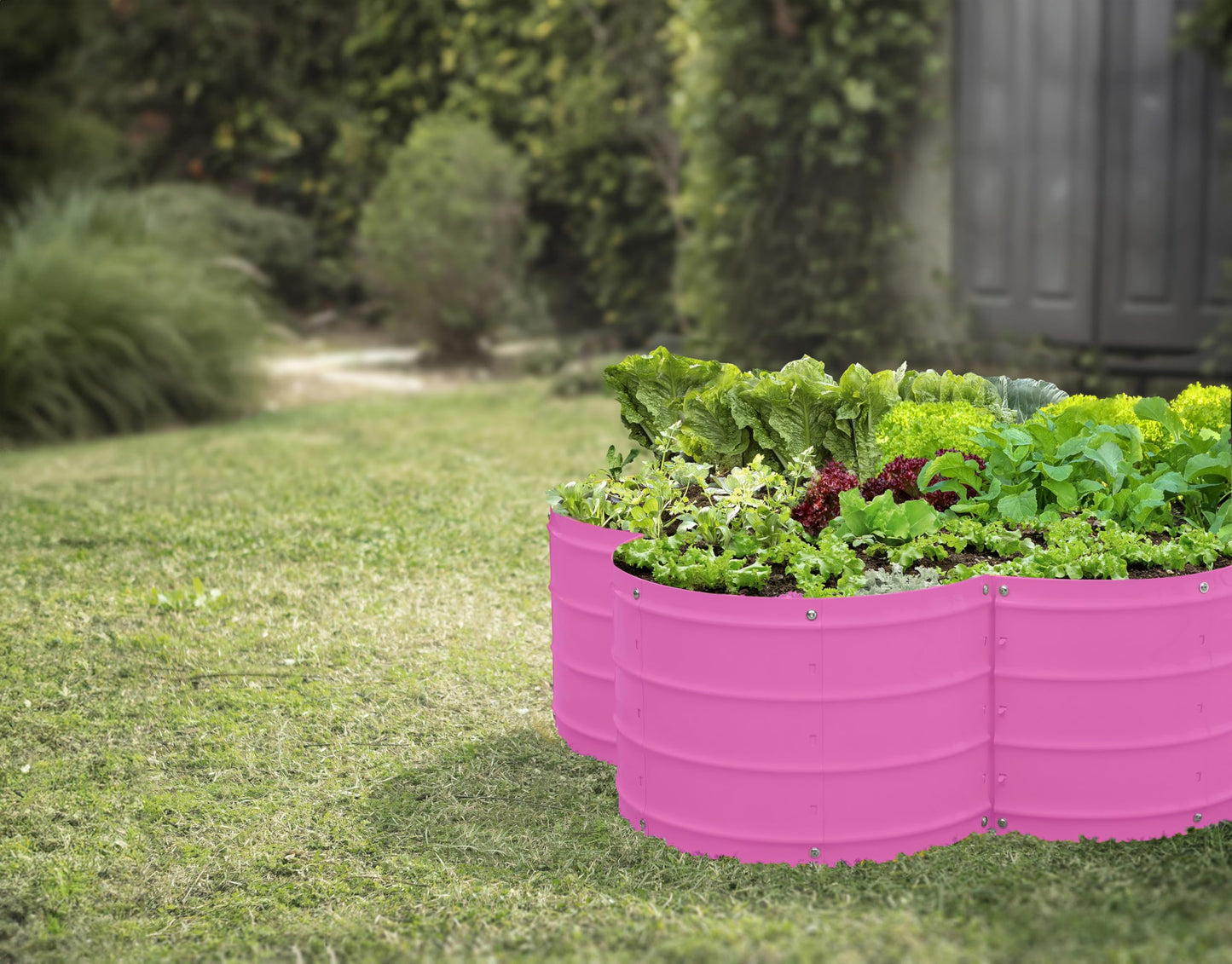 Plant & Plot Galvanized Raised Garden Beds Outdoor // 3×3×1 ft Planter Raised Beds for Gardening, Vegetables, Flowers // Large Metal Garden Box (Pink) // Patented Tool-Free Design