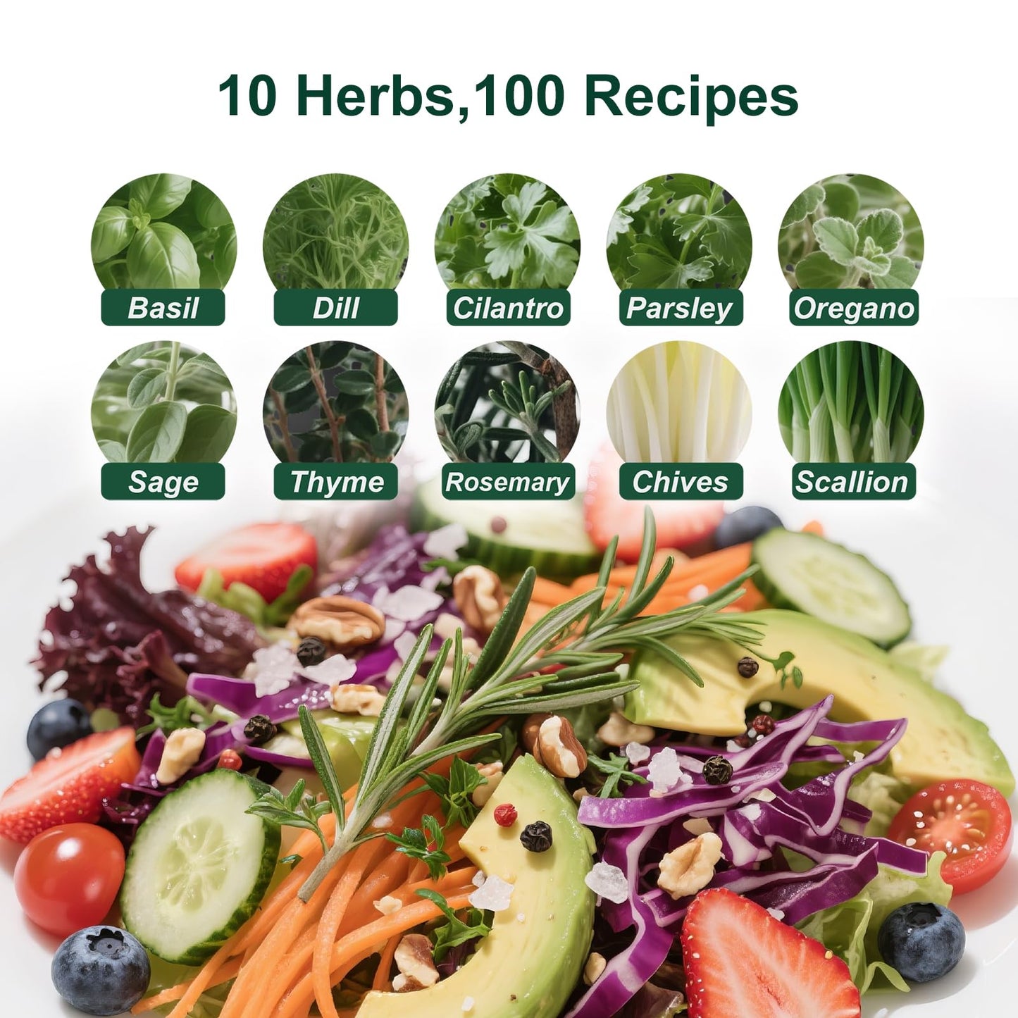 10 Indoor Herb Garden Kit, 33pcs Complete Kitchen Herb Starter Set Including 4-Color Pots, Soil & Tools, Unique Gift Ideas for Plant Lovers, Women, Men, Mom, Friend, Birthday, Housewarming, Christmas