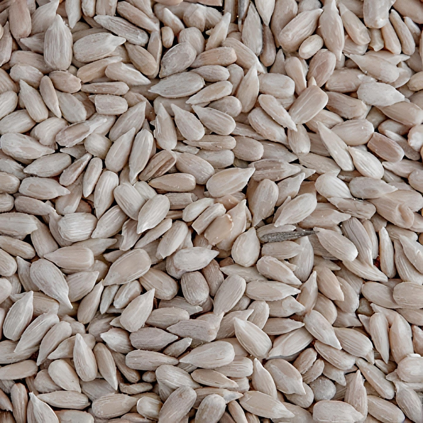 Leagrams Premium Sunflower Hearts 20kg