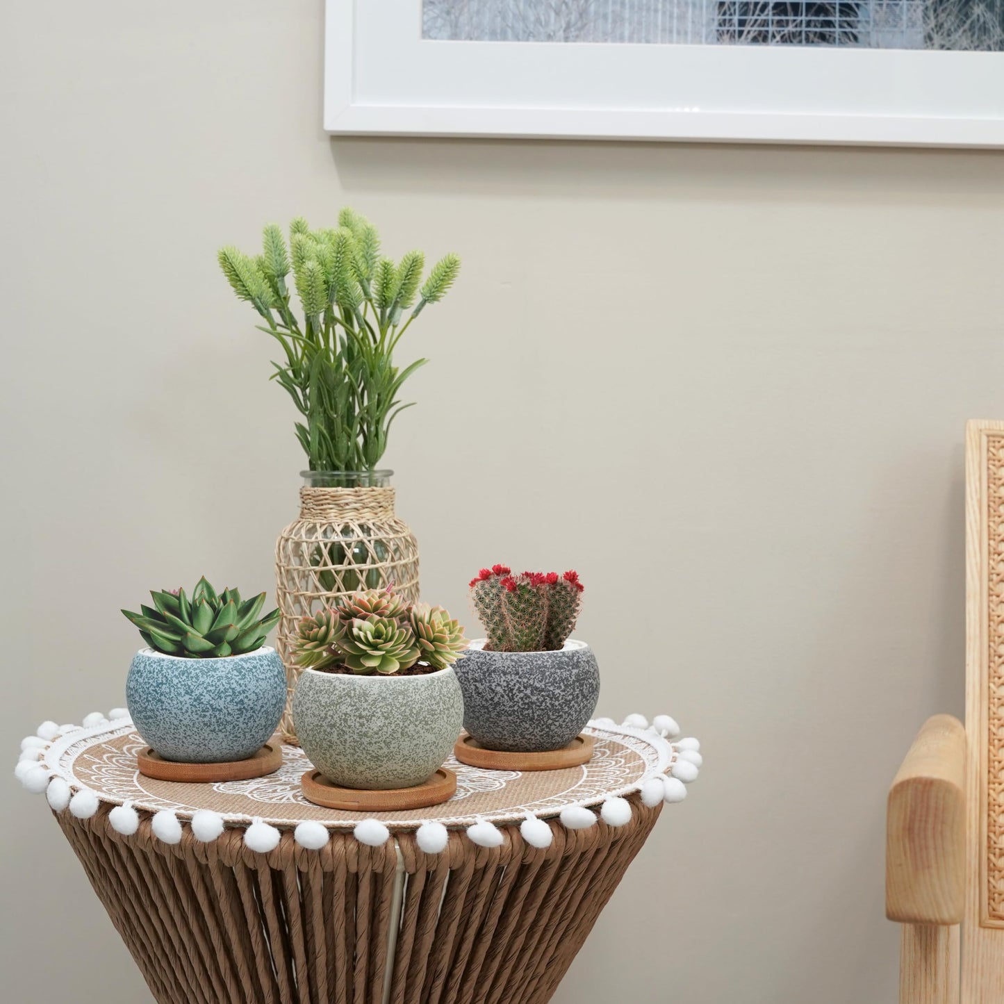 Thriving Thicket 3 inch Ceramic pots for Plants, Small Succulent Pots Set with Drainage, 6 Pack Flower Pot for Indoor Plant, Planters for Little or mini Cactus 2 inches Plants