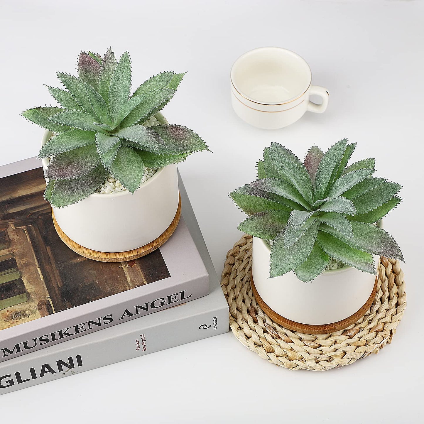 Hopewood Artificial Succulents Plant, Faux Agave Succulent Plant in Ceramic Pots with Bamboo Tray, Fake Potted Plants for Office Desk Living Room Decor(Set of 2)