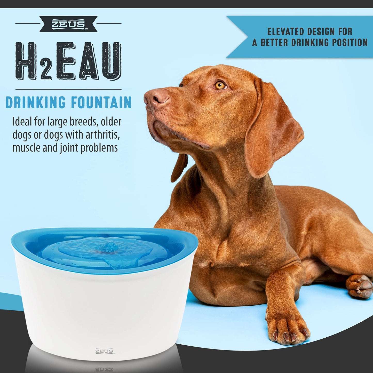 Zeus H2EAU Dog Water Drinking Fountain