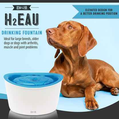 Zeus H2EAU Dog Water Drinking Fountain