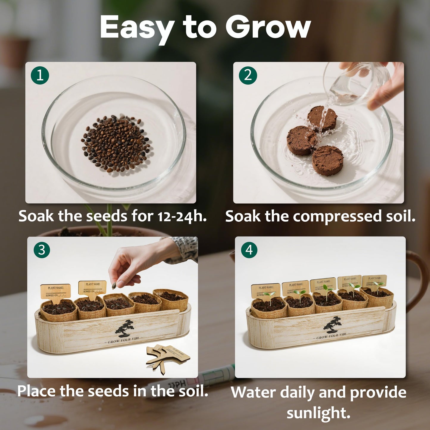 LUOJIBIE Bonsai Tree Kit for Beginners - Unique Gifts for Women, Crafts for Adults, for Women & Men,Complete Indoor Plant Kit,Easy House Plant