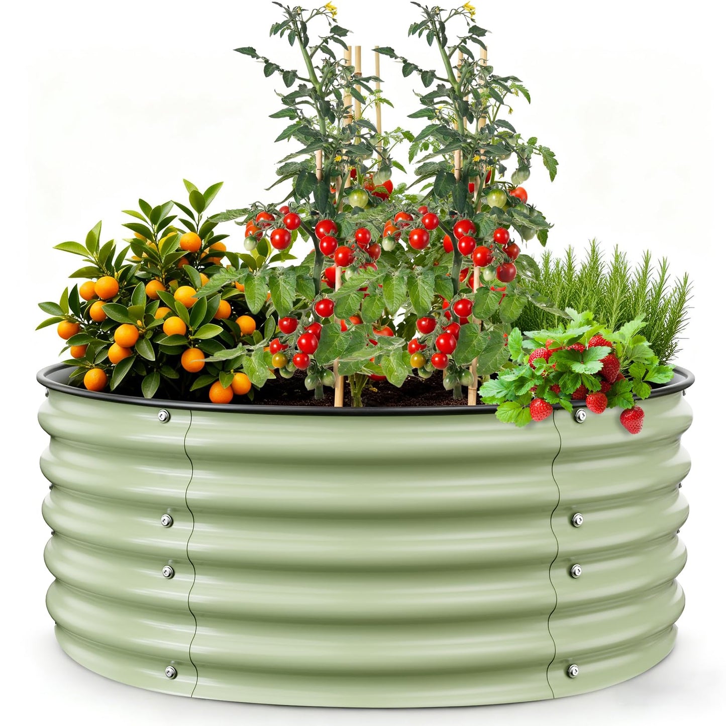 Gruper Galvanized Raised Garden Bed, 3.5ft x 17'' Tall Round Metal Planter Raised Garden Boxes Outdoor for Vegetable Fruits Flower Herb, Anti-Rust and Sturdy & Easy-Setup