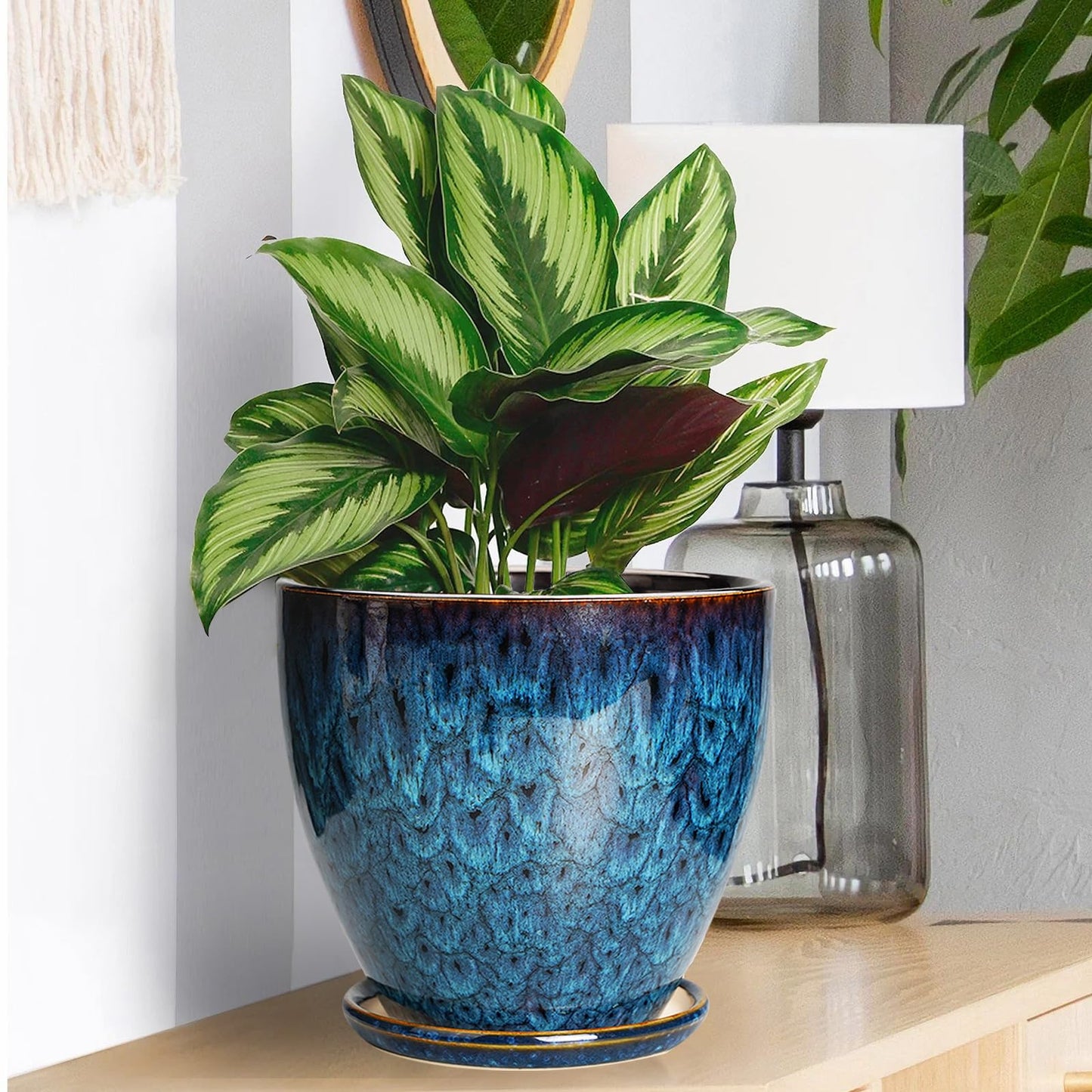 EPFamily Ceramic Plant Pot, 6.3 Inch Ceramic Planter Pot with Drainage Hole and Saucer, Succulent Round Flower Pot for Indoor Plants Outdoor, Blue