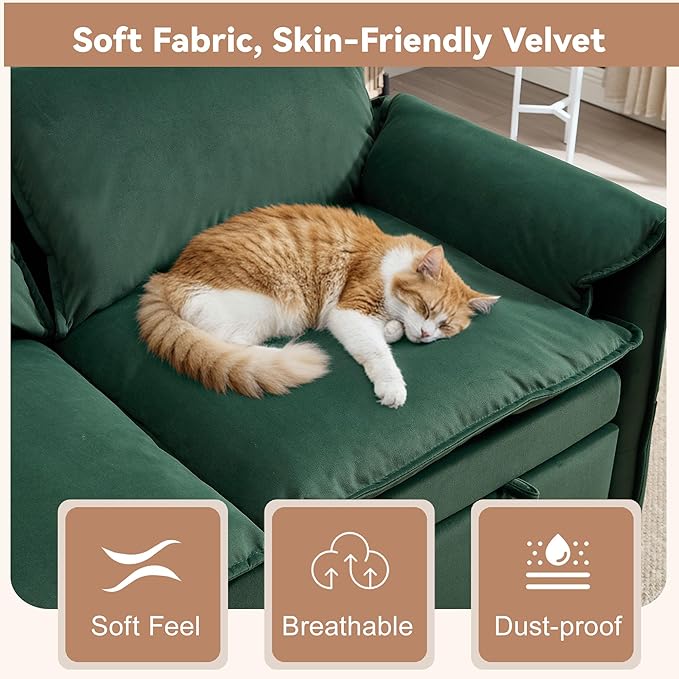 63" Convertible Sleeper Loveseat Sofa Bed, Pull Out Couch Bed
