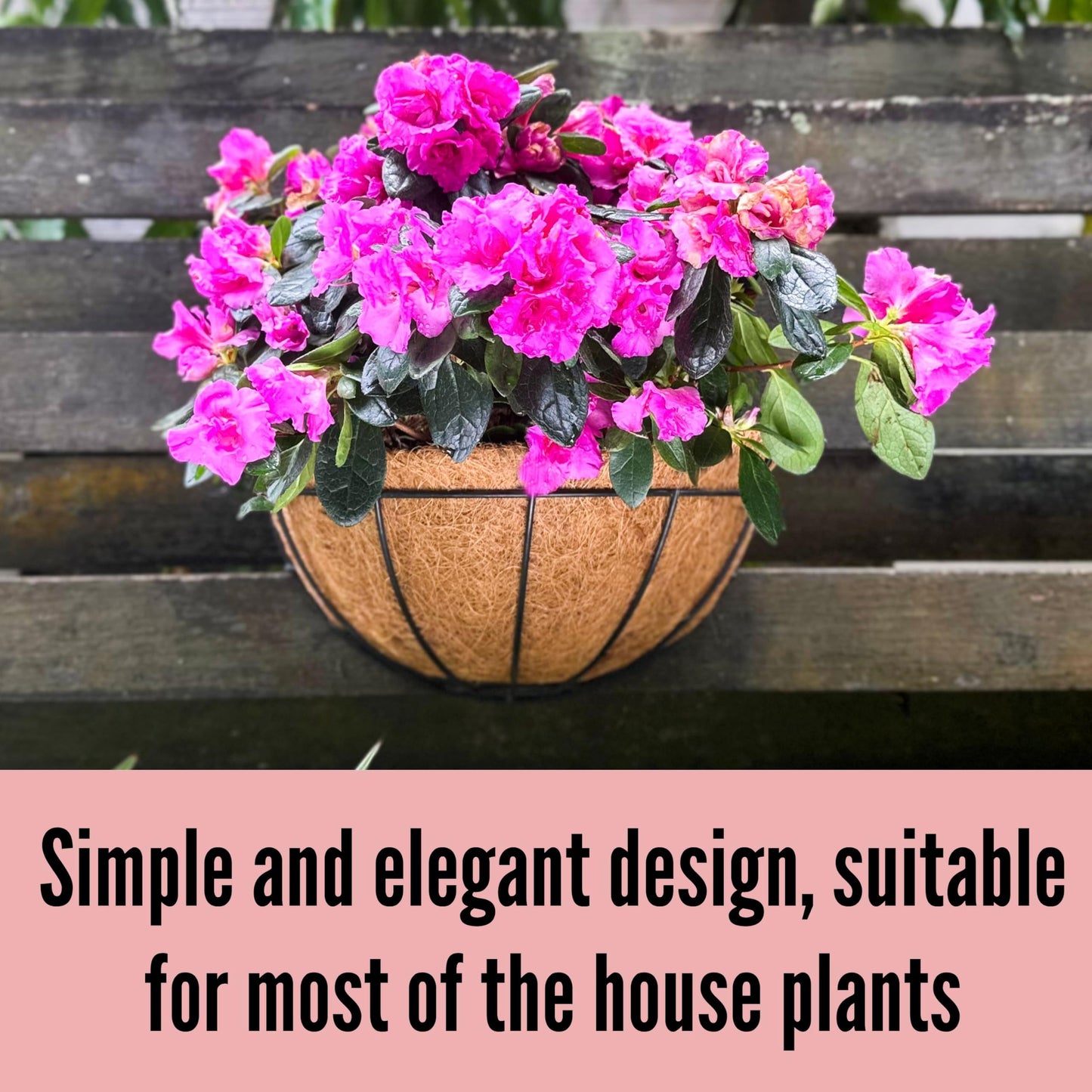 LaLaGreen Wall Planter Outdoor, 4 Pack, 14 Inch Large Wall Hanging Flower Basket with Coco Liner, Vertical Living Wall Mounted Wire Pot Outside Fence Railing Plant Pots Holder Deck Porch Balcony Patio
