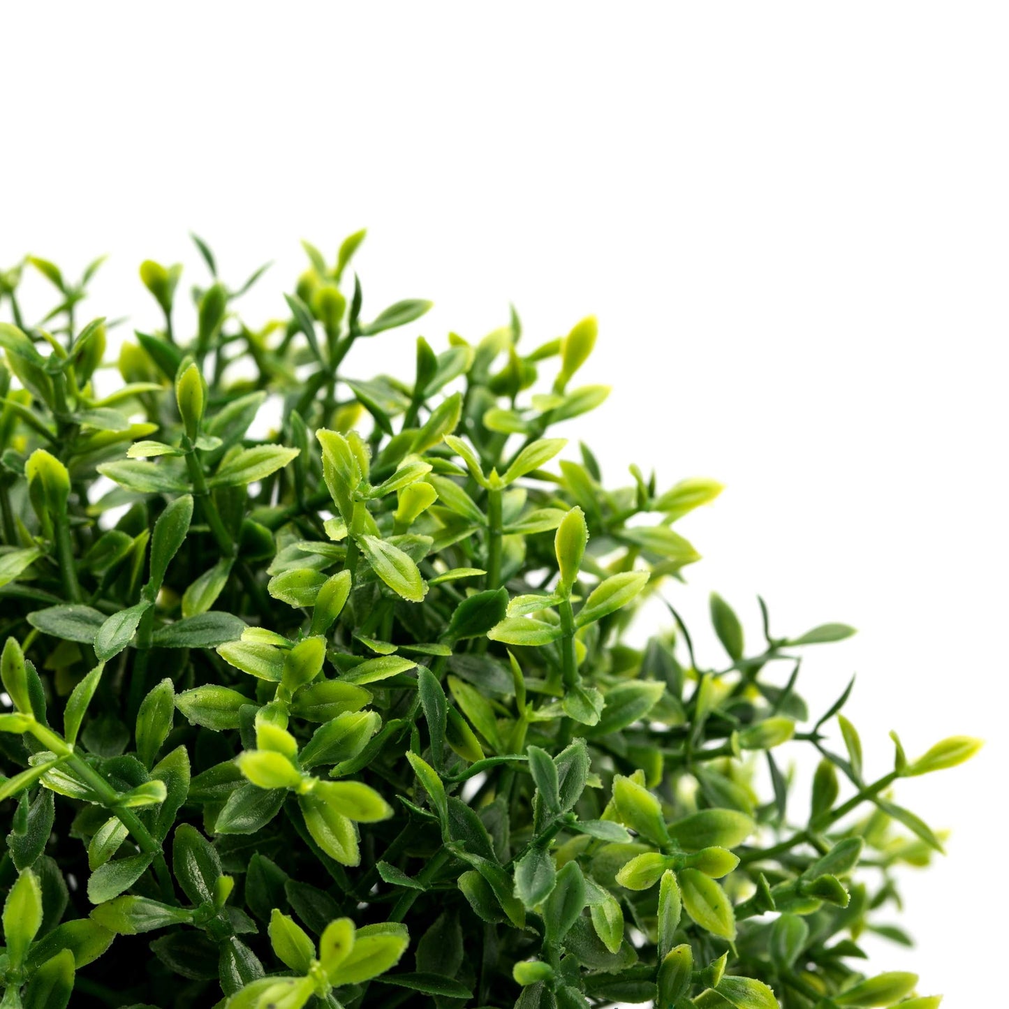 Velener 2Pcs Mini Artificial Boxwood Topiary Faux Plants Indoor- Small Fake Plants Decor Magnolia Home Office Desk Cubicle Farmhouse Kitchen Bookshelf Bedroom Bathroom Decor, Aloe Vera Zen Garden