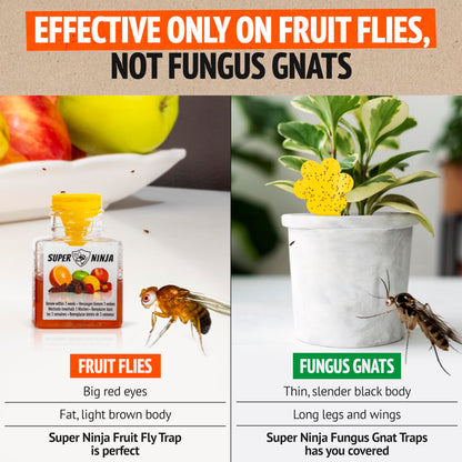 Super Ninja Fruit Fly Trap - 6 pack, Highly Effective Fruit Fly Killer for Home & Kitchen, Up to 3 Weeks of Performance per Bottle, Child & Pet Friendly
