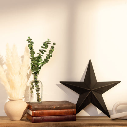 The Hearthside Collection CWI Gifts Metal Barn Star - 12" Galvanized Hanging Star - Farmhouse Wall Decor - Black - 1, 12 X 12 X 2