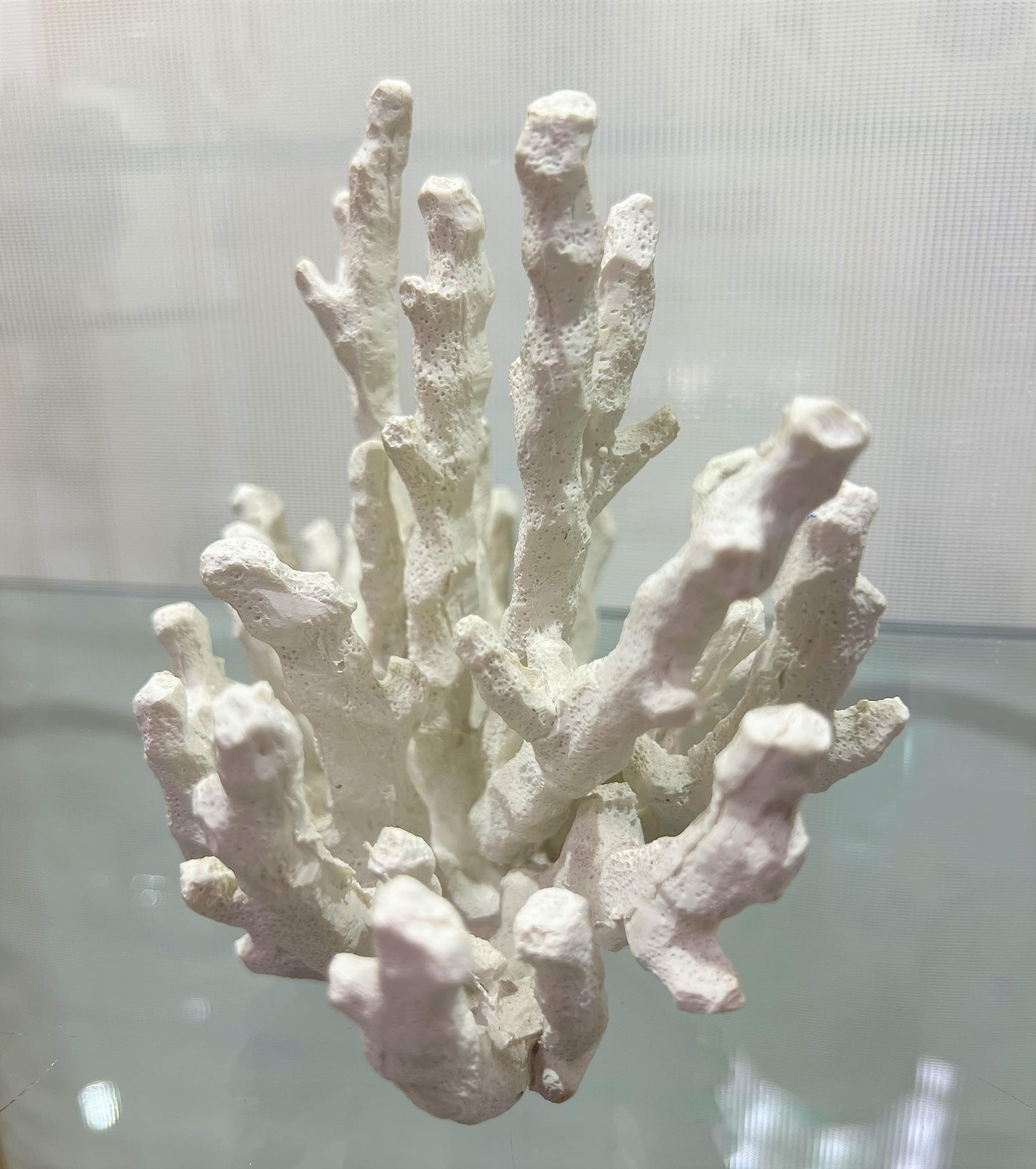 Abbott Collection 20-SEASHORE/45 Small White Finger Coral Decorative Resin Figurine