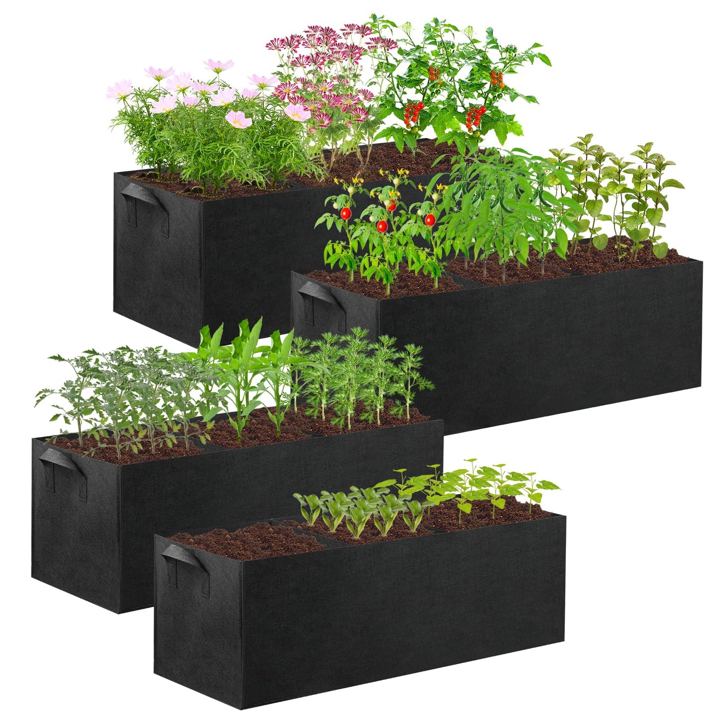 CIEOVO 4 Pack Fabric Raised Garden Bed, 22 Gallon 3 Grids Breathable Garden Growing Bags with Handle, Garden Grow Planter Bags Plant Bed for Growing Herbs Flowers and Vegetables