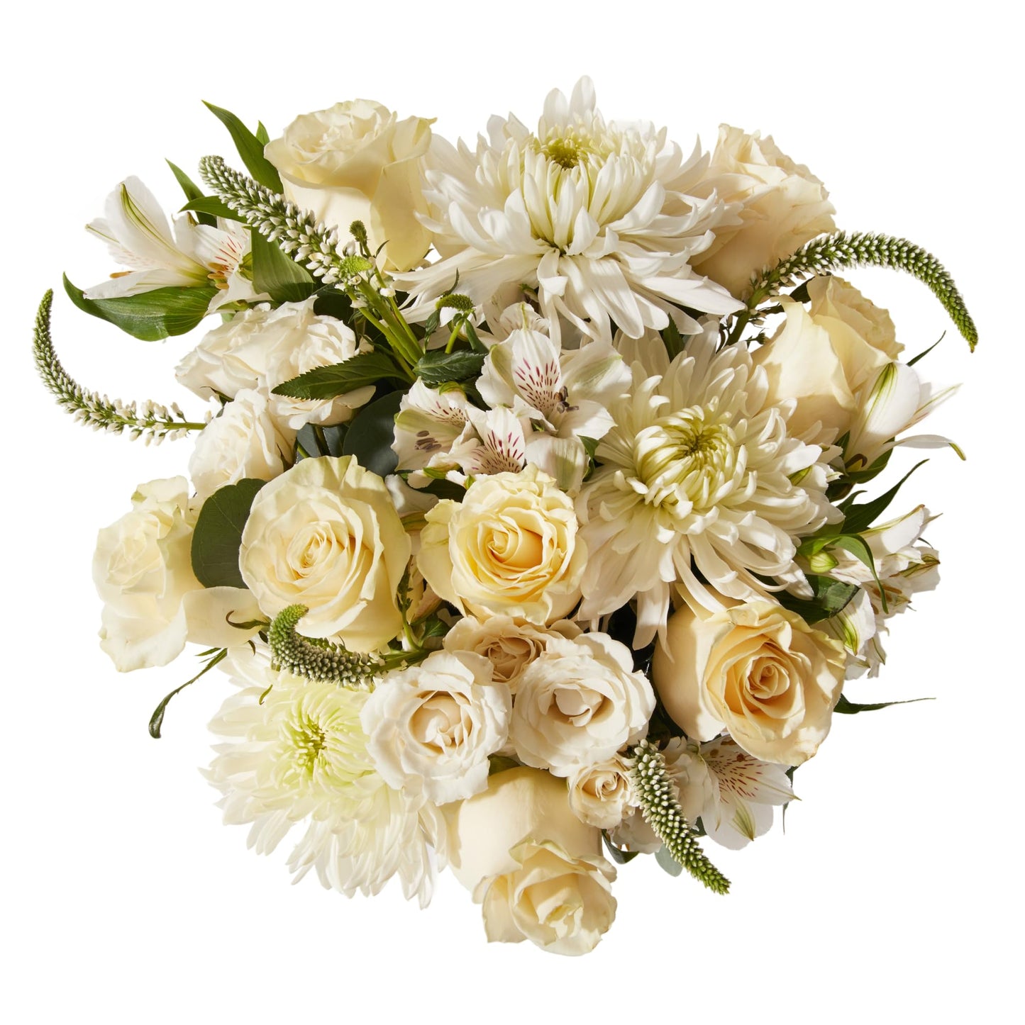 UrbanStems – The Dove Bouquet (No Vase) – Fresh Flowers for Delivery – Gift for Birthday, Thank You, Sympathy, Thinking of You, Friendship