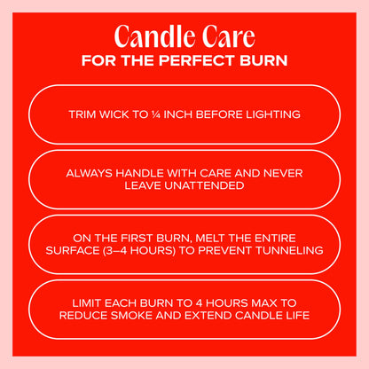 Companion Candles Anywhere with You Pet-Friendly Scented Candle – Grapefruit & Vanilla Fragrance - Coconut Soy Wax Candle with Wooden Wick, Approx. 50-Hour Burn Time, Made in USA, 11.8 oz