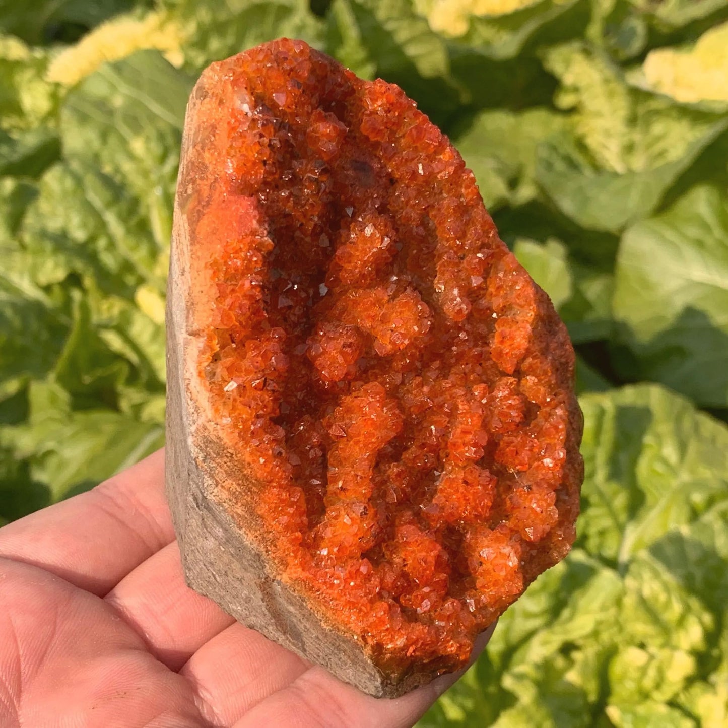 CrystalHola Raw Orange Geode Quartz Cluster 200-300g - Natural Crystal Decorative Stone for Home & Office Decor, Healing Ornaments & Spiritual Gifts, About 2-3 inch, 7-10.5 oz