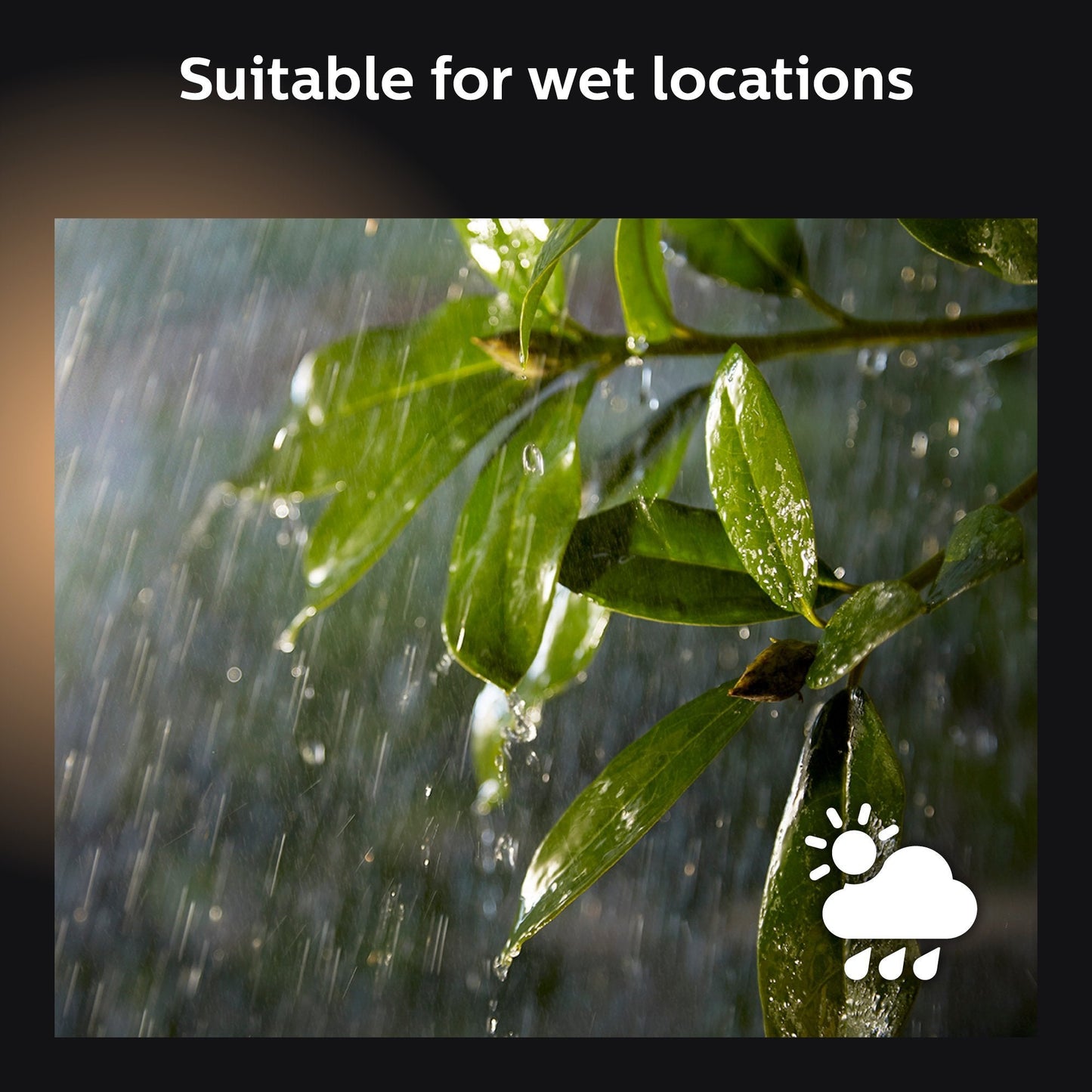 PHILIPS Hue Smart 100W PAR38 LED Bulb, 2 Pack, White & Color Ambiance Color-Changing Light, 1300LM, E26, Outdoor Light Bulbs, Control with Hue App, Works with Alexa, Google Assistant and Apple Homekit