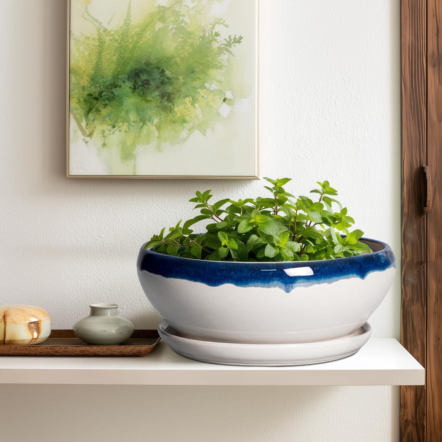SQOWL Bonsai Tree Pots - 12 Inch Ceramic Succulent Planters, Large Bonsai Pot with Drainage Hole and Tray, Shallow Planter Indoor, Bowl Round Planter, Home Decor, Plant Lover Gift, Blue Off-White
