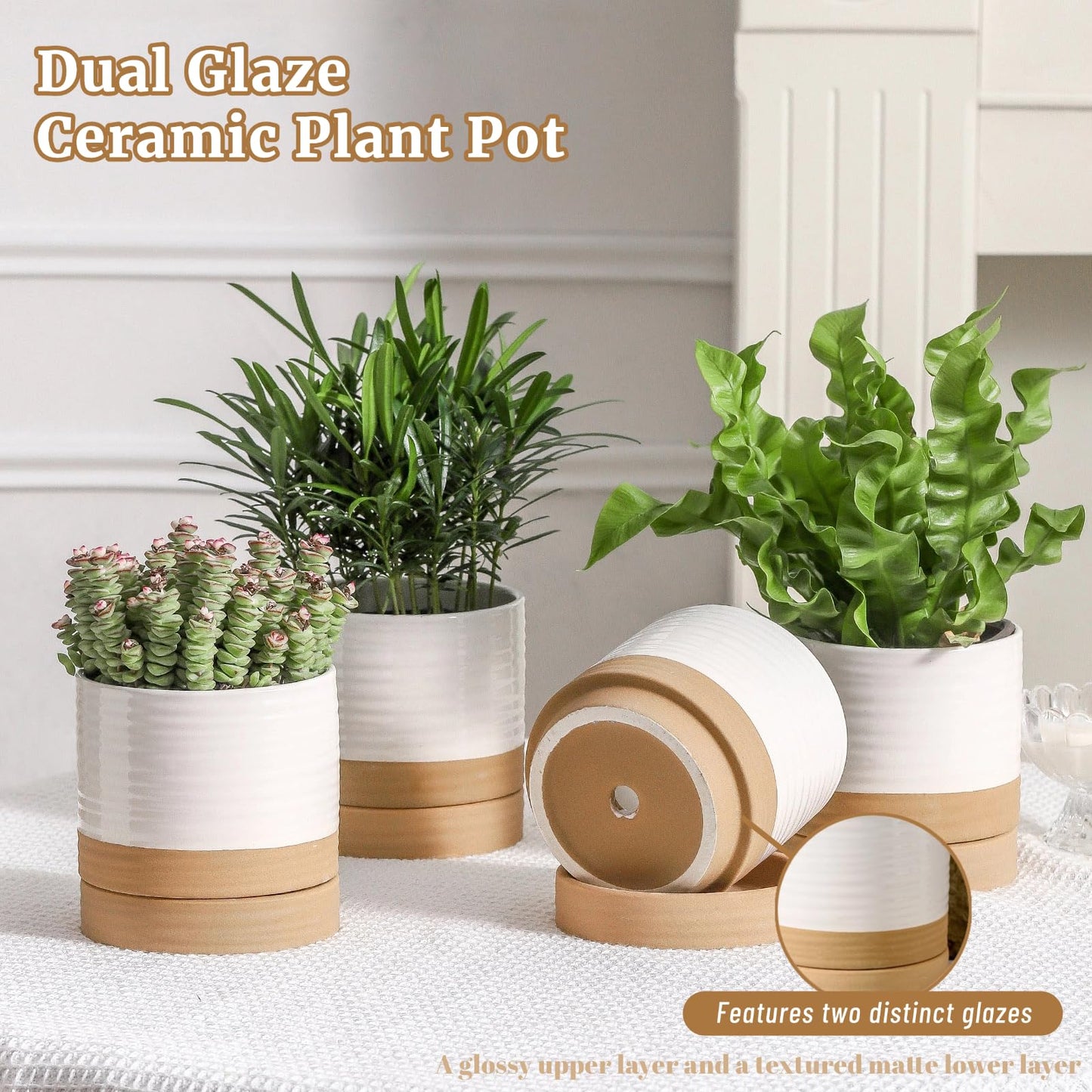 HASENSE Ceramic Plant Pots with Saucers Set of 4, 4.6 Inch Planters for Indoor Plants with Drainage Holes,Two-Tone White Flower Pots for Succulents, Snake Plants & Cactus, Farmhouse Desktop Decor