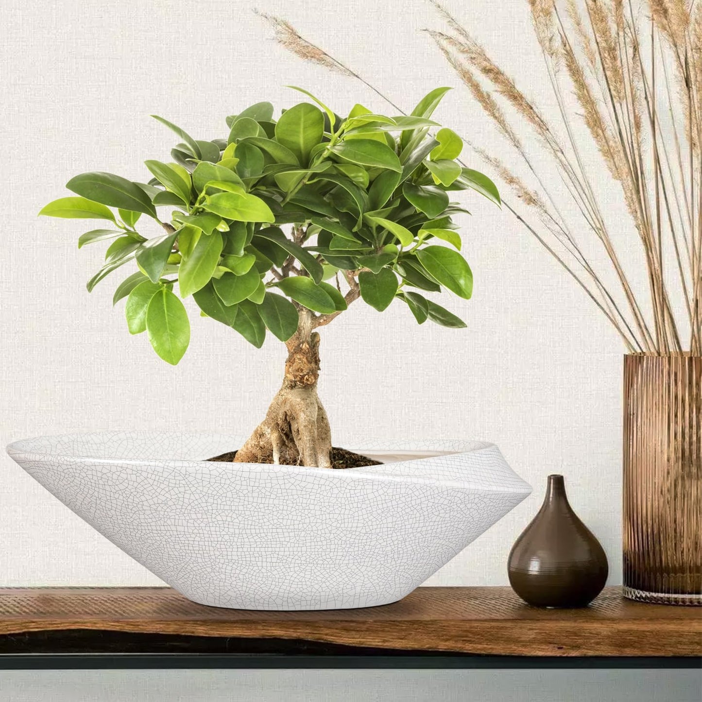 EPFamily Bonsai Pots - 18 Inch Ceramic Plant Pot for Bonsai Tree, Modern Indoor & Outdoor Succulent Planter with Drainage, Room Decor, Gifts for Plant Lovers, White-Black