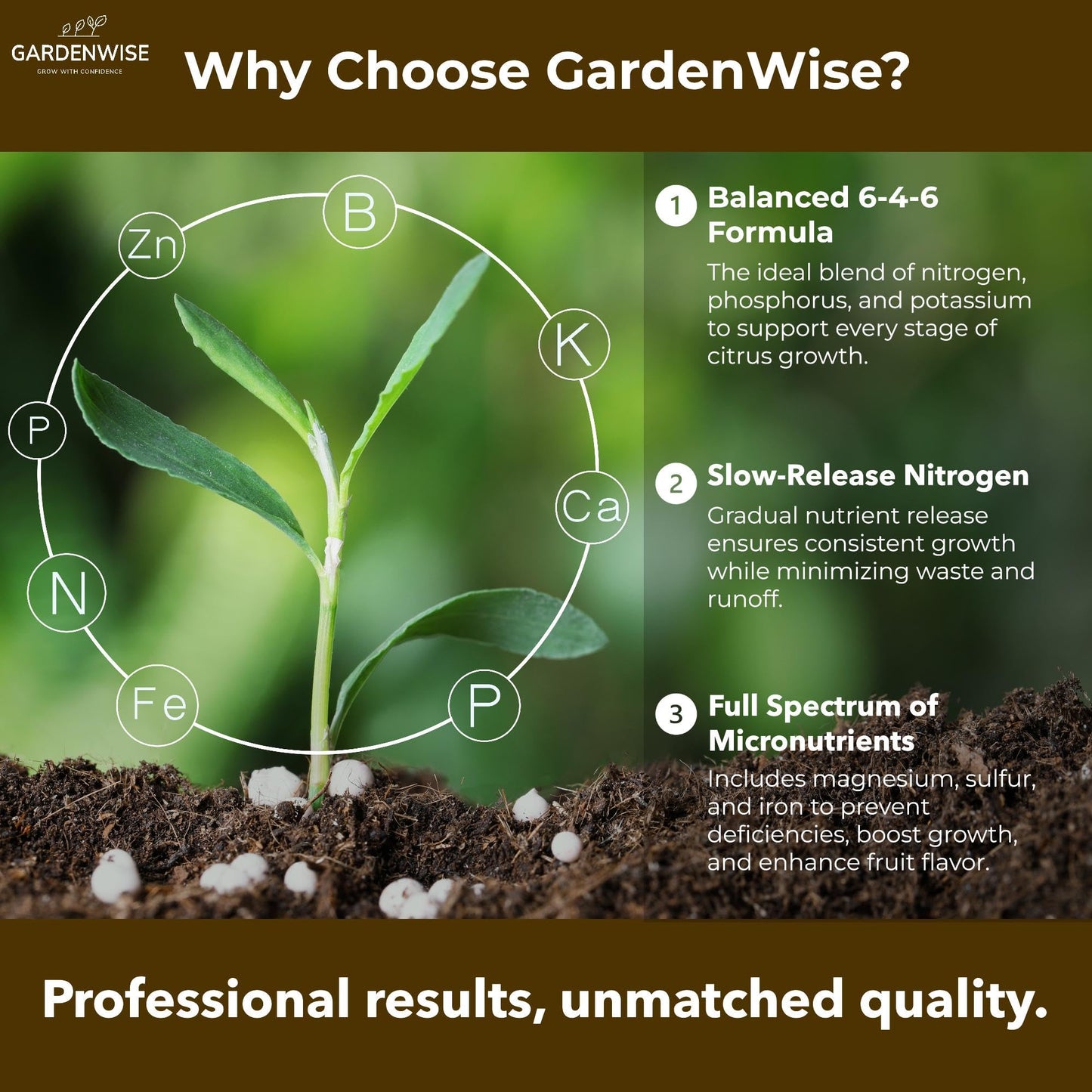GARDENWISE Professional Citrus Fertilizer + Vital Micronutrients; Perfect Balanced NPK for All Citrus; for Indoor and Outdoor Plants; Orange, Lime, Avocado and Lemon Tree Fertilizer (1/2 Quart)