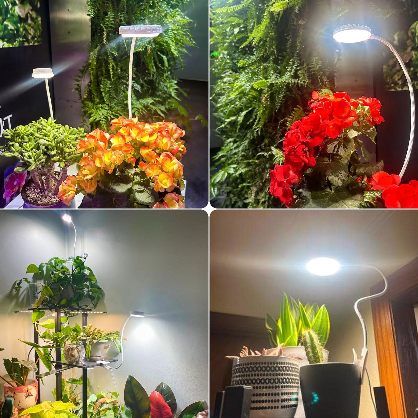 SANSI Upgraded Grow Lights for Indoor Plants, Full Spectrum Pot Clip LED Plant Light for Indoor Growing with Auto On/Off Timer 3/6/12H, 4 Dimmable Brightness, Ideal for Small Indoor Plants, 10W 3 Pack