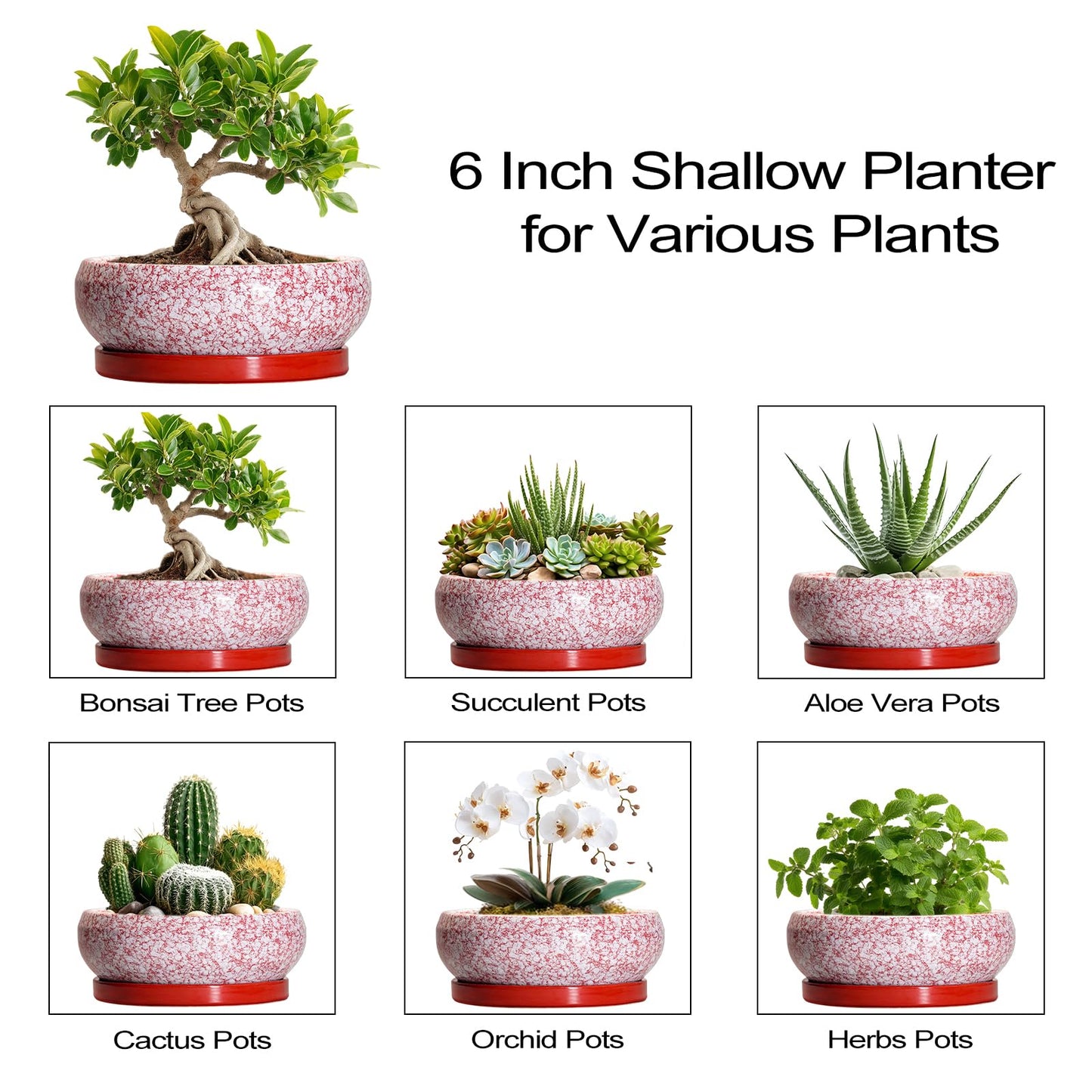 EPFamily Bonsai Pots Small - 6 Inch Ceramic Succulent Pots with Drainage Hole and Ceramic Saucer, Succulent Planters Indoor Outdoor, Shallow Round Planter, Apartment Decor, Housewarming Gifts, Red