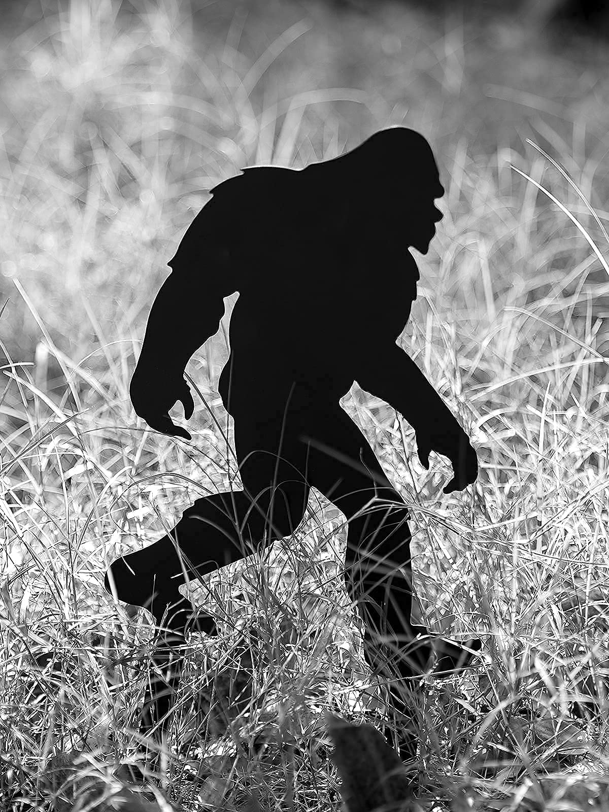 CINPIUK Bigfoot Garden Stake, Metal Sasquatch Yard Sign Christmas Outdoor Decoration Black Bigfoot Sculpture for Lawn Patio Decor