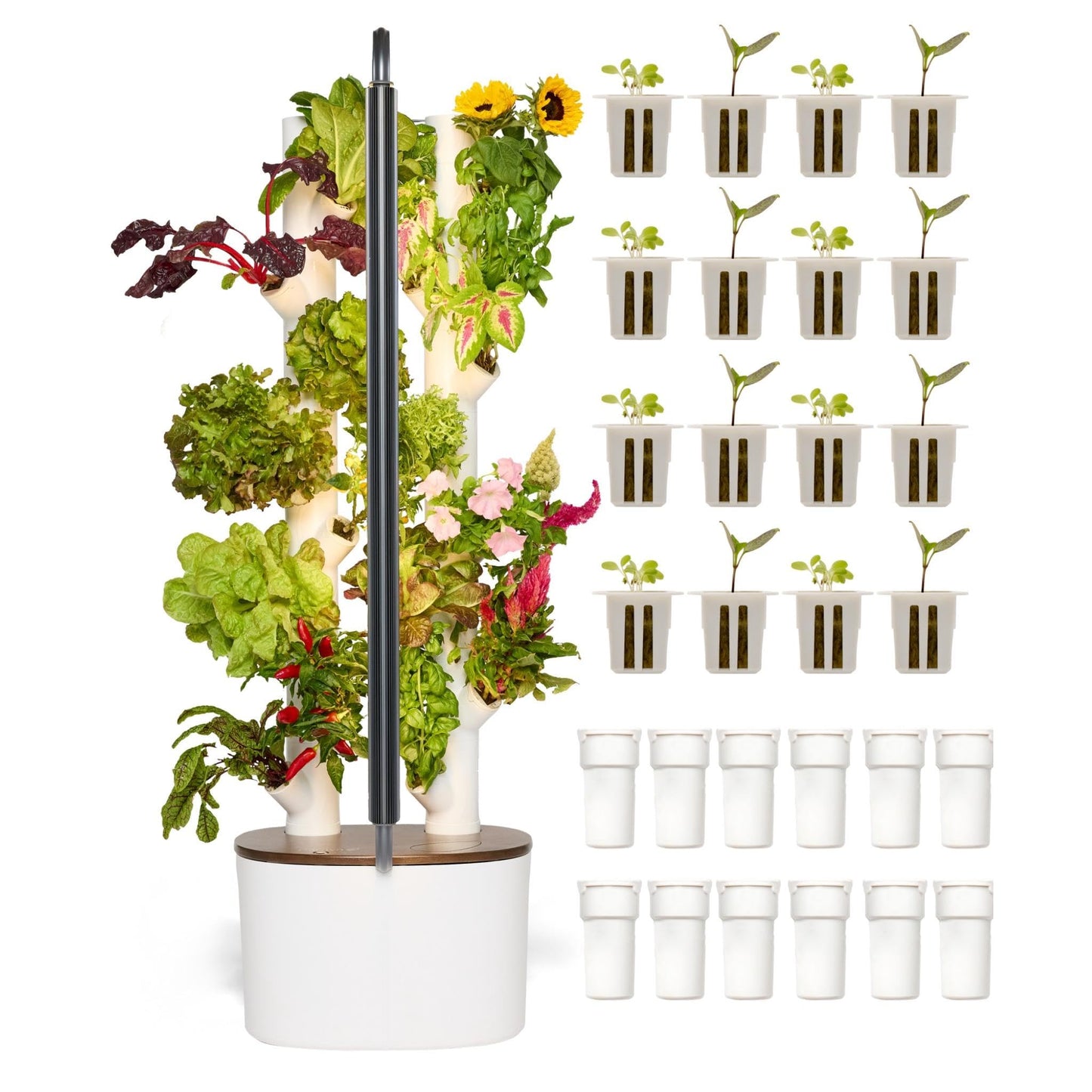 Gardyn Studio 1 Vertical Hydroponics Growing System Kit - 16 Non-GMO Plants, Herbs, Vegetables - Tower Garden - Hydroponic Herb Garden Planter Indoor Kit - Indoor Gardening System with LED Grow Lights