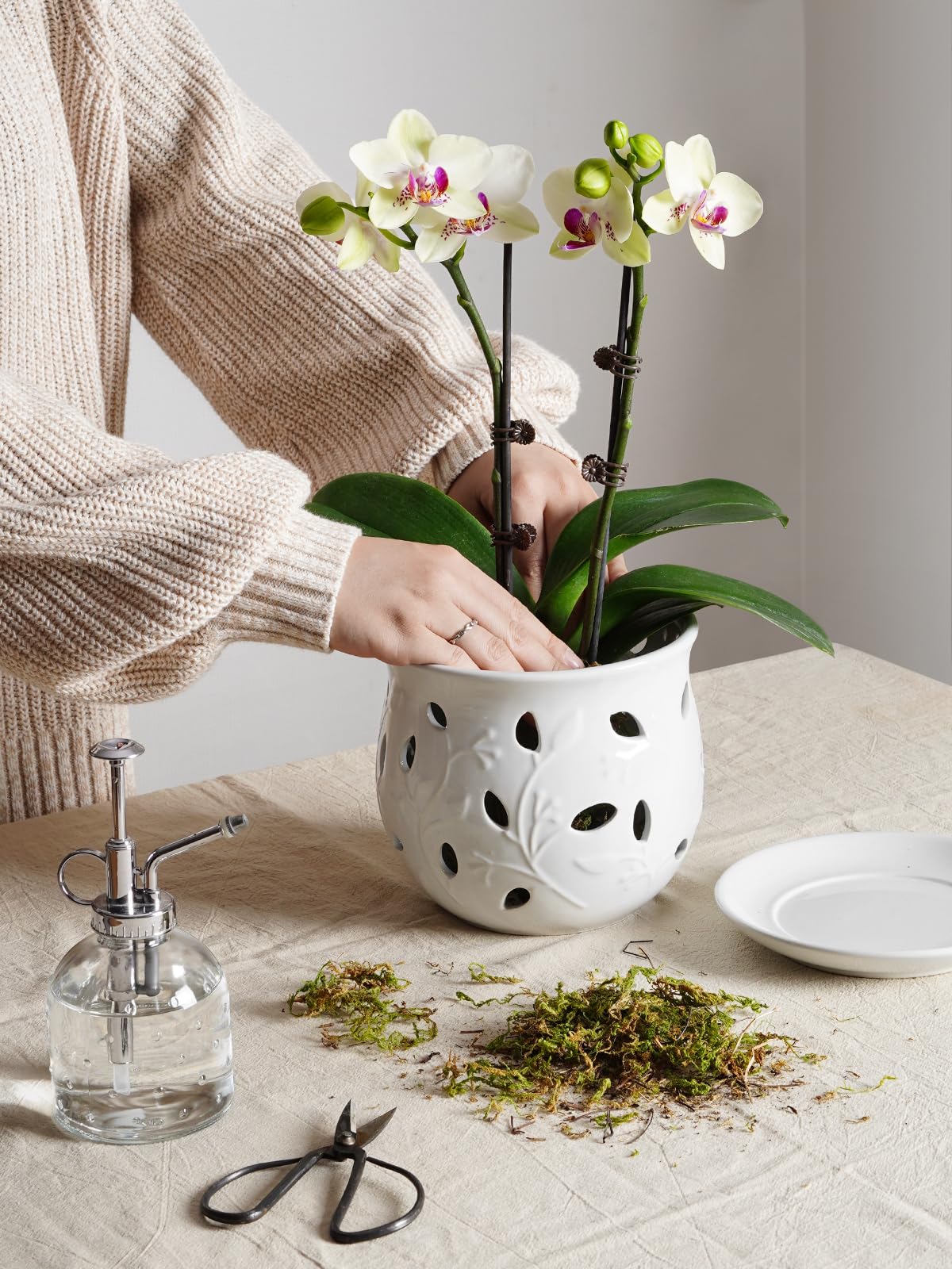 LE TAUCI Ceramic Orchid Pot, 6.5 Inch Orchid Pots with Holes, Orchid Planter for Repotting, Indoor Flower Plant Pot with Drainage and Saucer, White