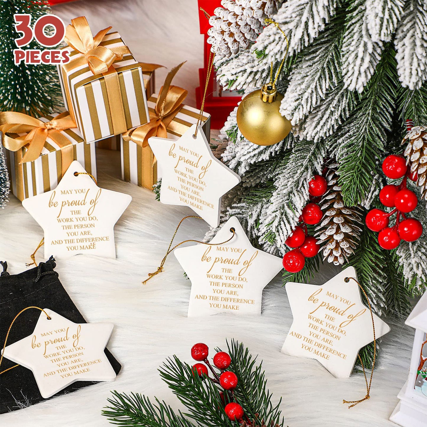 Sieral 30 Pieces Christmas Appreciation Gift for Employee Women Star Shaped Ornaments Thanksgiving Ceramics Hanging Plaque Keepsake Christmas Tree Ornaments for Customer Service Vet Tech Week Nurse