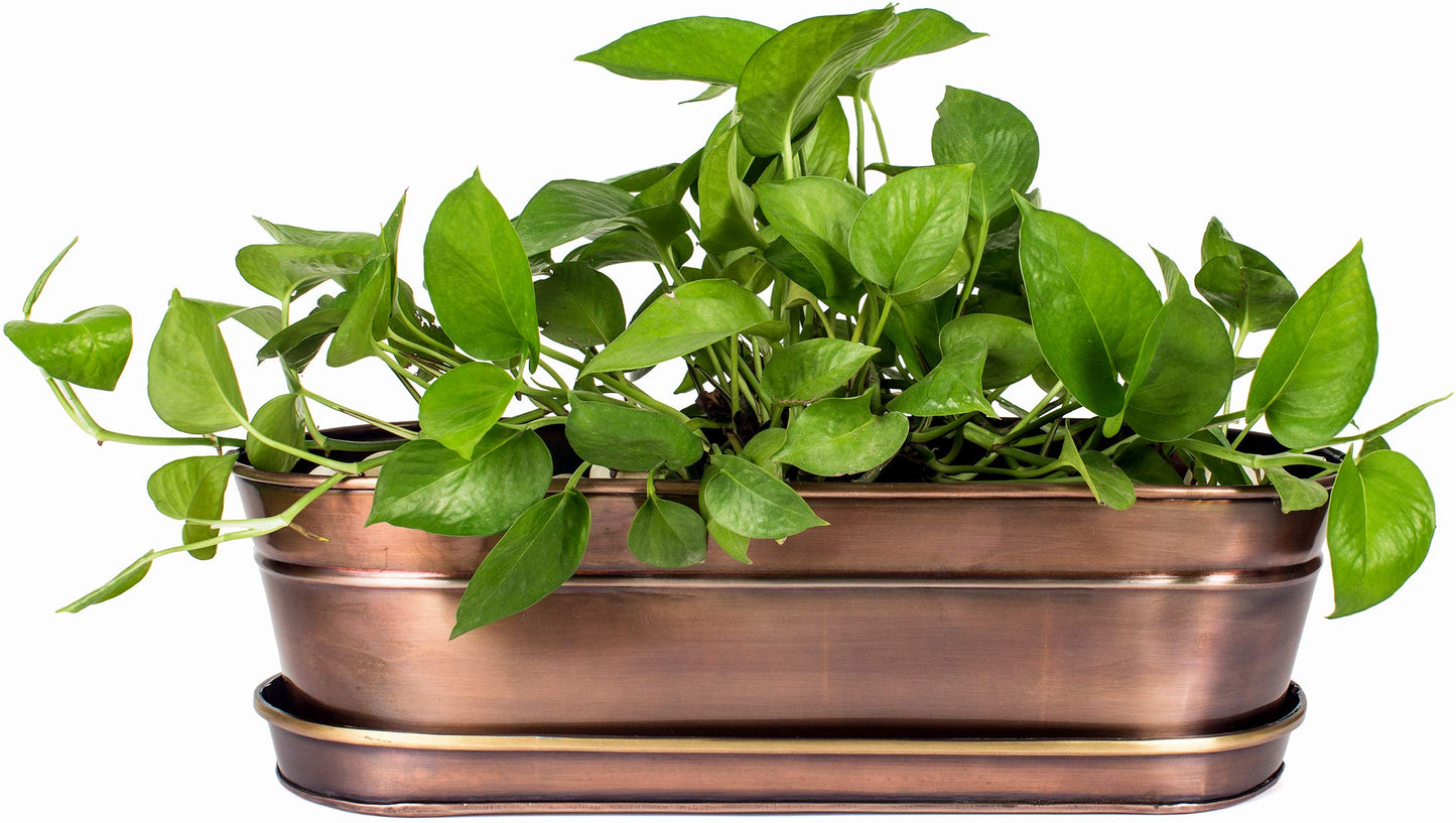 H Potter Herb Succulent Planter Antique Copper Finish and Brass Accents Indoor Centerpiece Outdoor Garden Pot Plant Box Holder with Tray for Succulents Flowers
