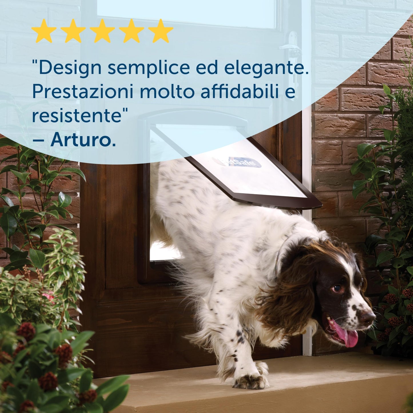 PetSafe - Original Staywell cat and Dog Flap, 2 Way Access in or Out - Indoor and Outdoor pet Door, Rigid, Closure Panel Included - Medium - White