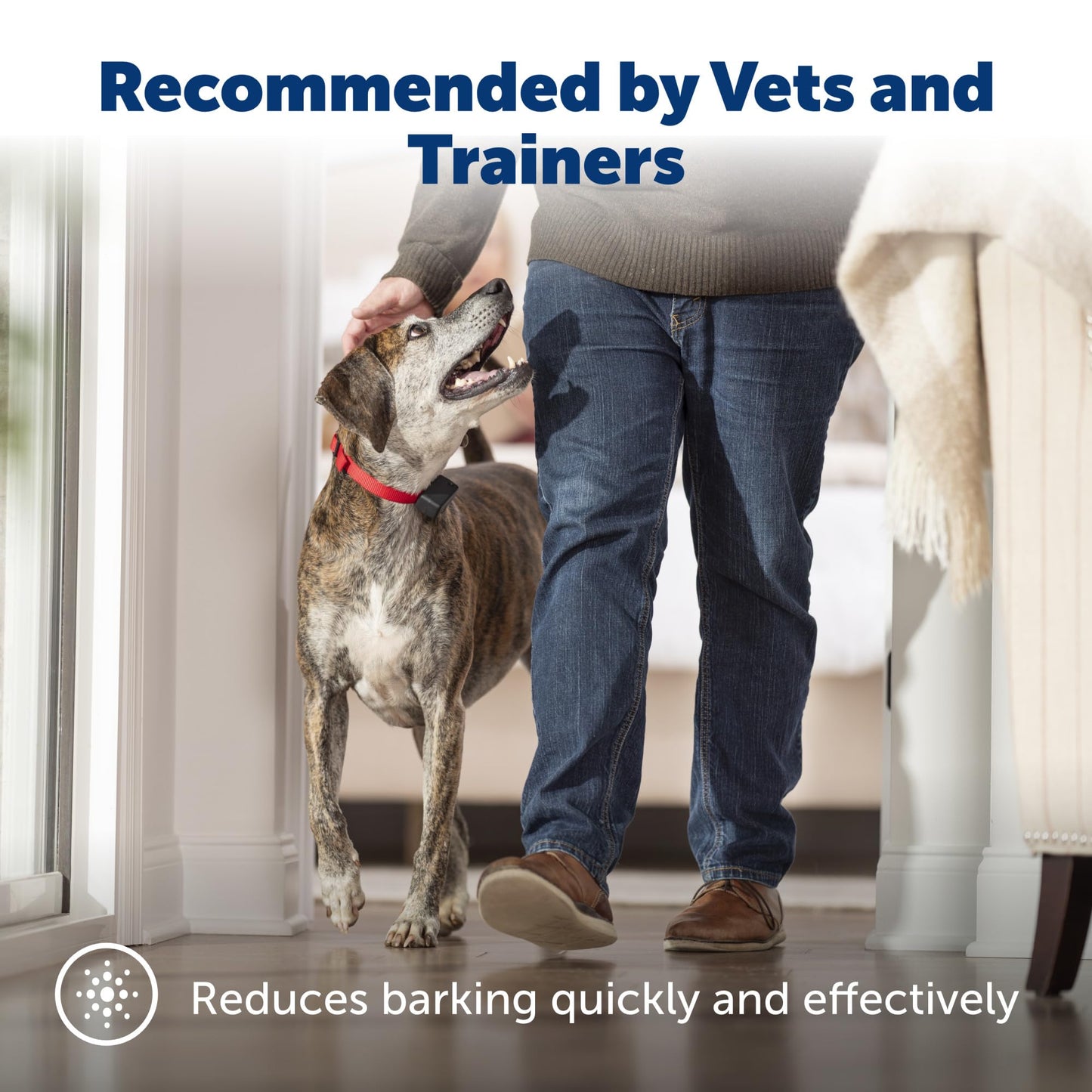 PetSafe Basic Bark Control Collar for Dogs 8 lb. and Up, Anti-Bark Training Device, Breeds, Waterproof, Static Correction, Canine - Automatic Dog Training Collar to Decrease Barking