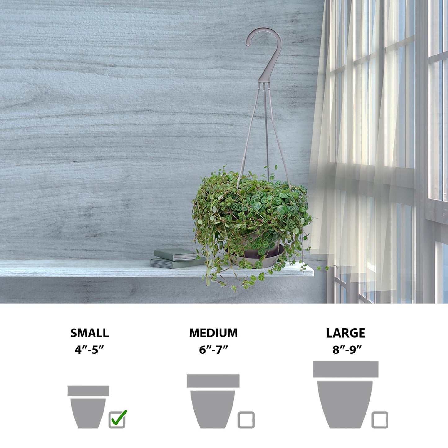 Live String of Turtles, Peperomia Prostrata, Jade Necklace, Gardener Gift, Wedding Decor, Housewarming Gift for The First Home, Office Gift, Indoor Plant in 4.5" Hanging Basket