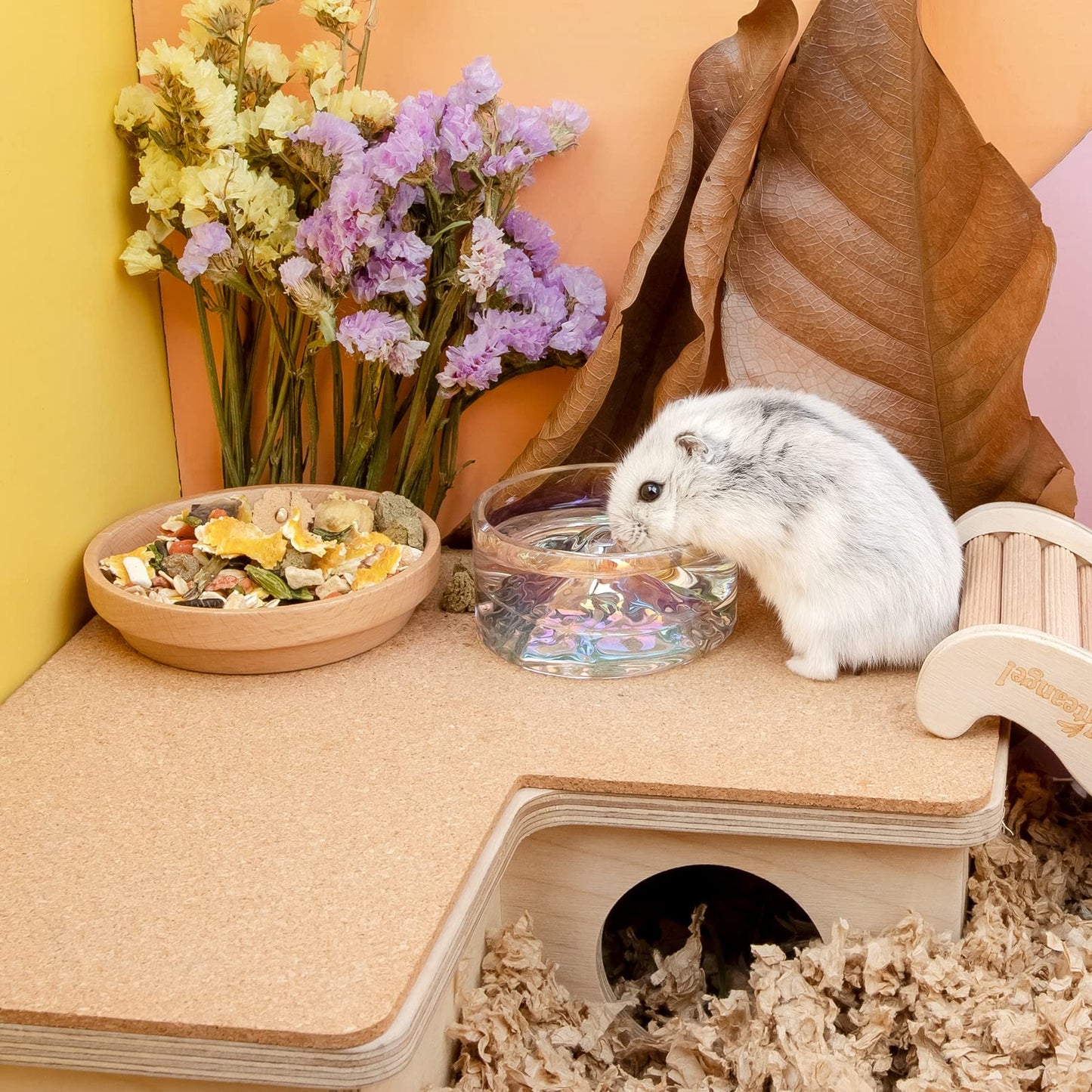 Niteangel Hamster Feeding & Water Bowls- Mount Fuji Series Glass Drinking Bowls for Dwarf Syrian Hamsters Gerbils Mice Rats or Other Similar-Sized Small Pets (Transparent)