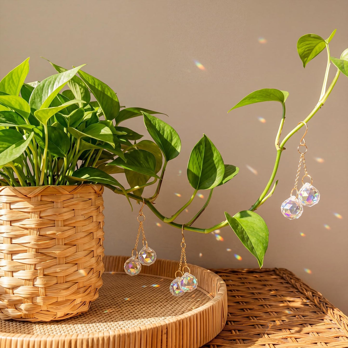 Ferrochef 6 Pcs Colorful Crystal Sun Catcher Plant Vine Charms Hanging for Mini Potted Plants, Home Window Garden, Garden Home Window Rainbow Sun Catchers Plant Accessories Indoor (Ball)