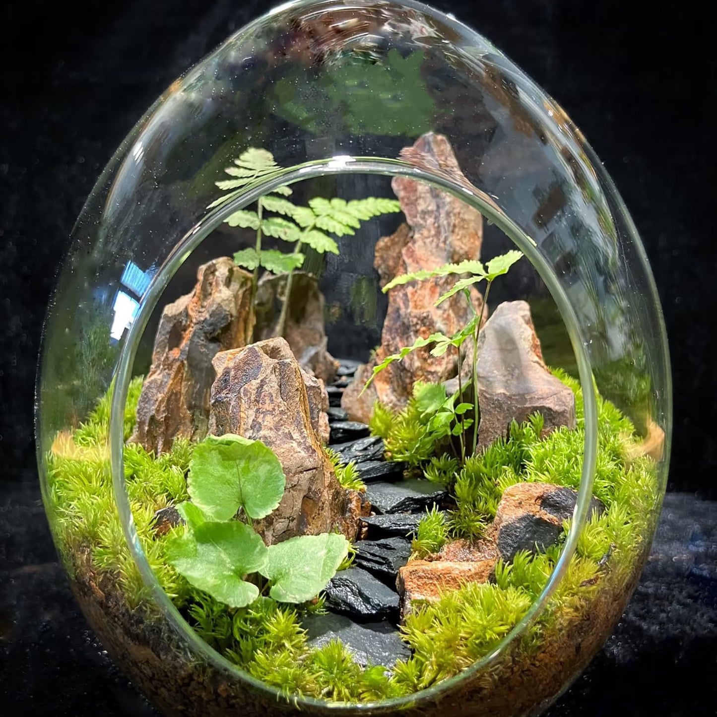 KINGRUI Natural Rocks Dragon Stone 1-2.5 Inches Decorative Rocks for Miniature Terrariums,Fairy Gardens,Bonsai,DIY Crafts, Aquariums Dioramas & Wargaming-1lb