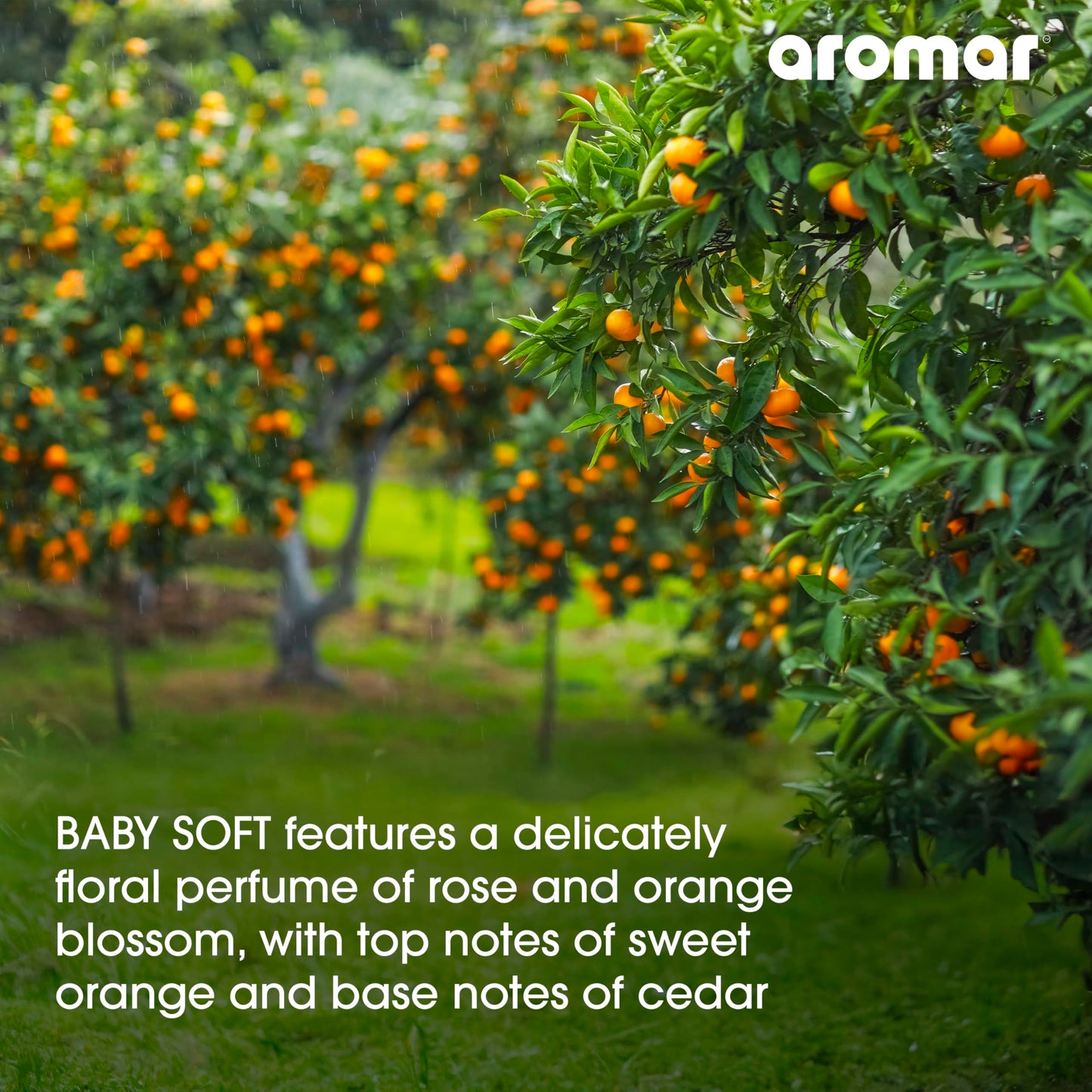 AROMAR Premium Fragrance Oil - Essential Oil for Diffusers & Home Aromatherapy - Cool Waters - 8oz