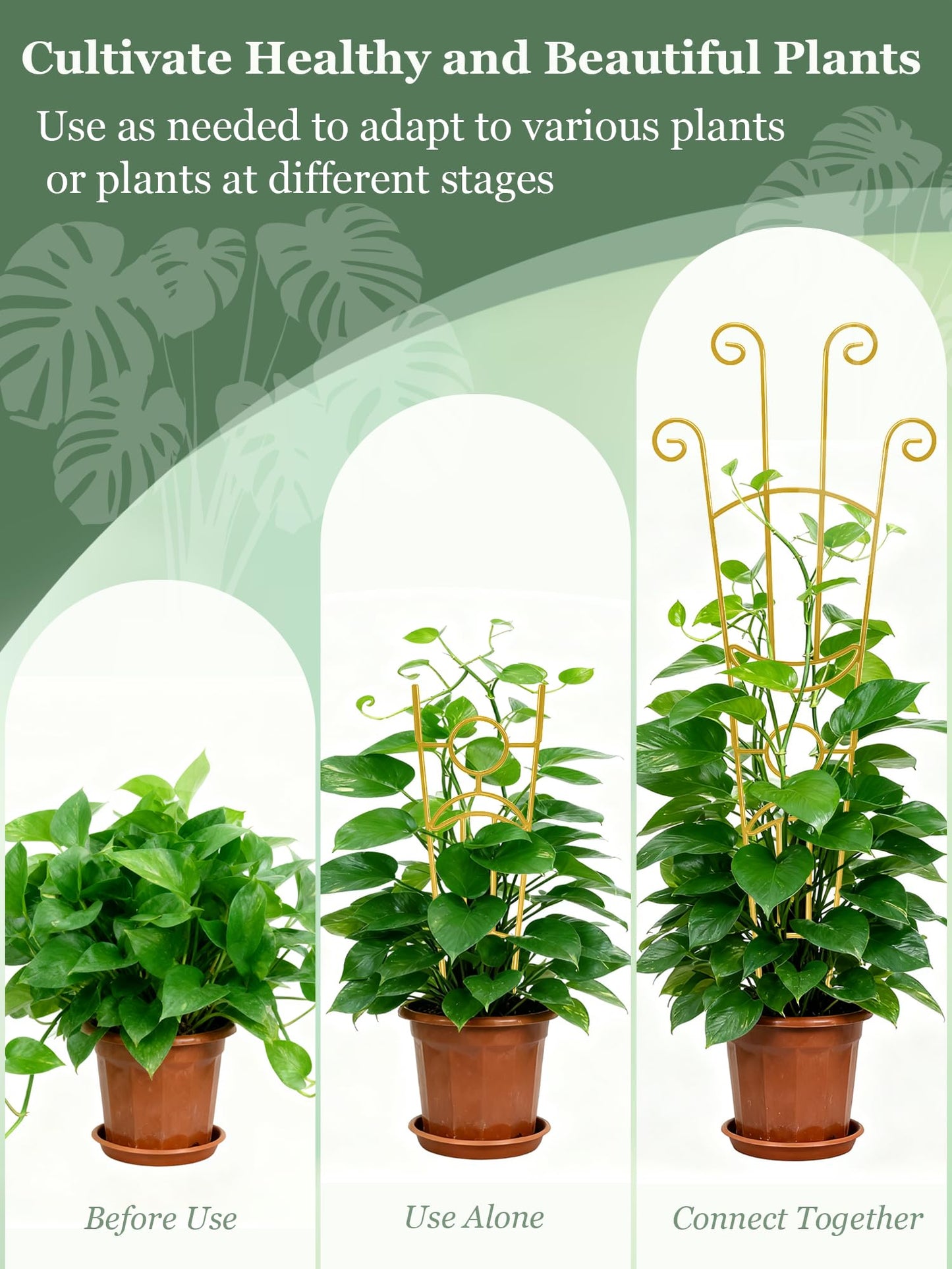 33 Inch Tall Expandable Metal Trellis for Potted Plants, Rustproof Expandable Indoor Outdoor Plant Support Trellis for Climbing Plants, Monstera, Ivy, Hoya with Sturdy Weighted Base (Gold)