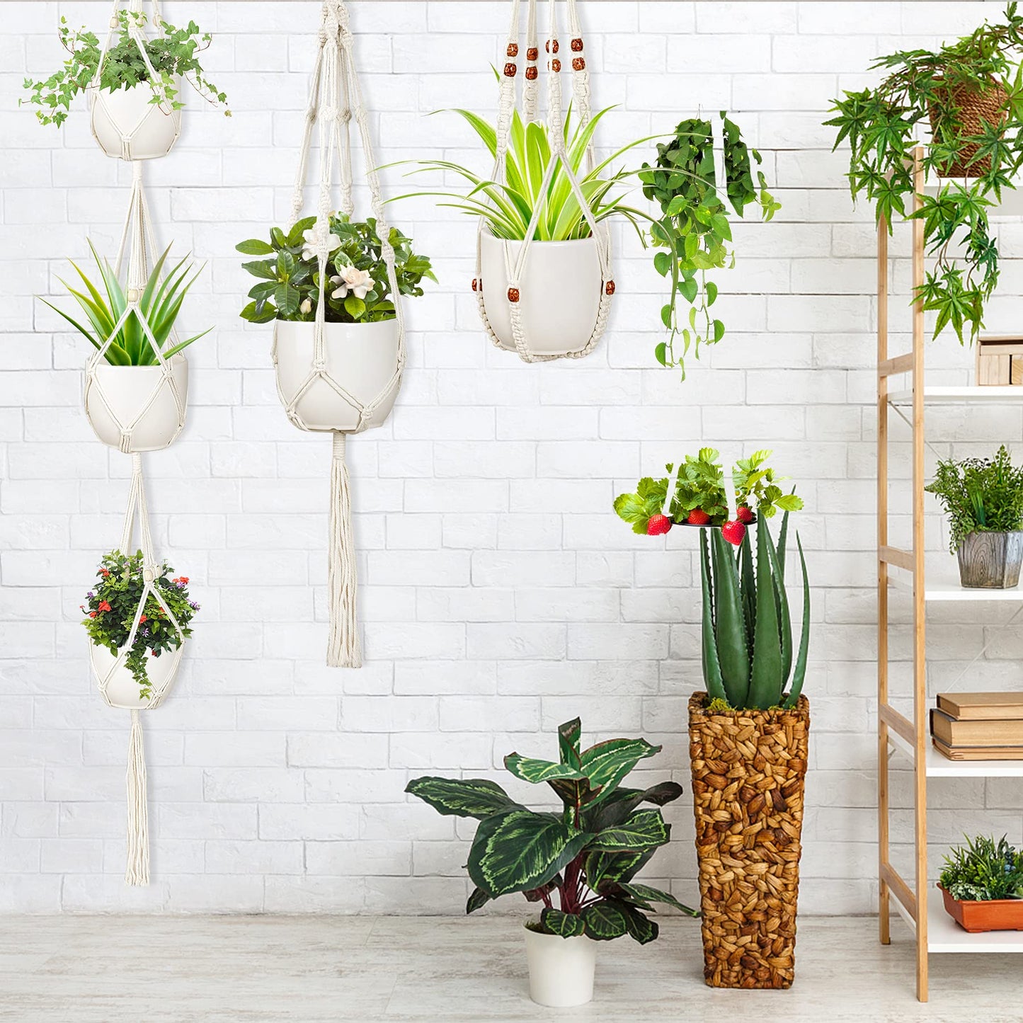 Augshy Macrame Hanging Planter, Set of 5 Plant Hanger Baskets, Handmade Flower Pot Holder for Home Indoor Outdoor Decor with 5 Pcs Ceiling Hooks(White)