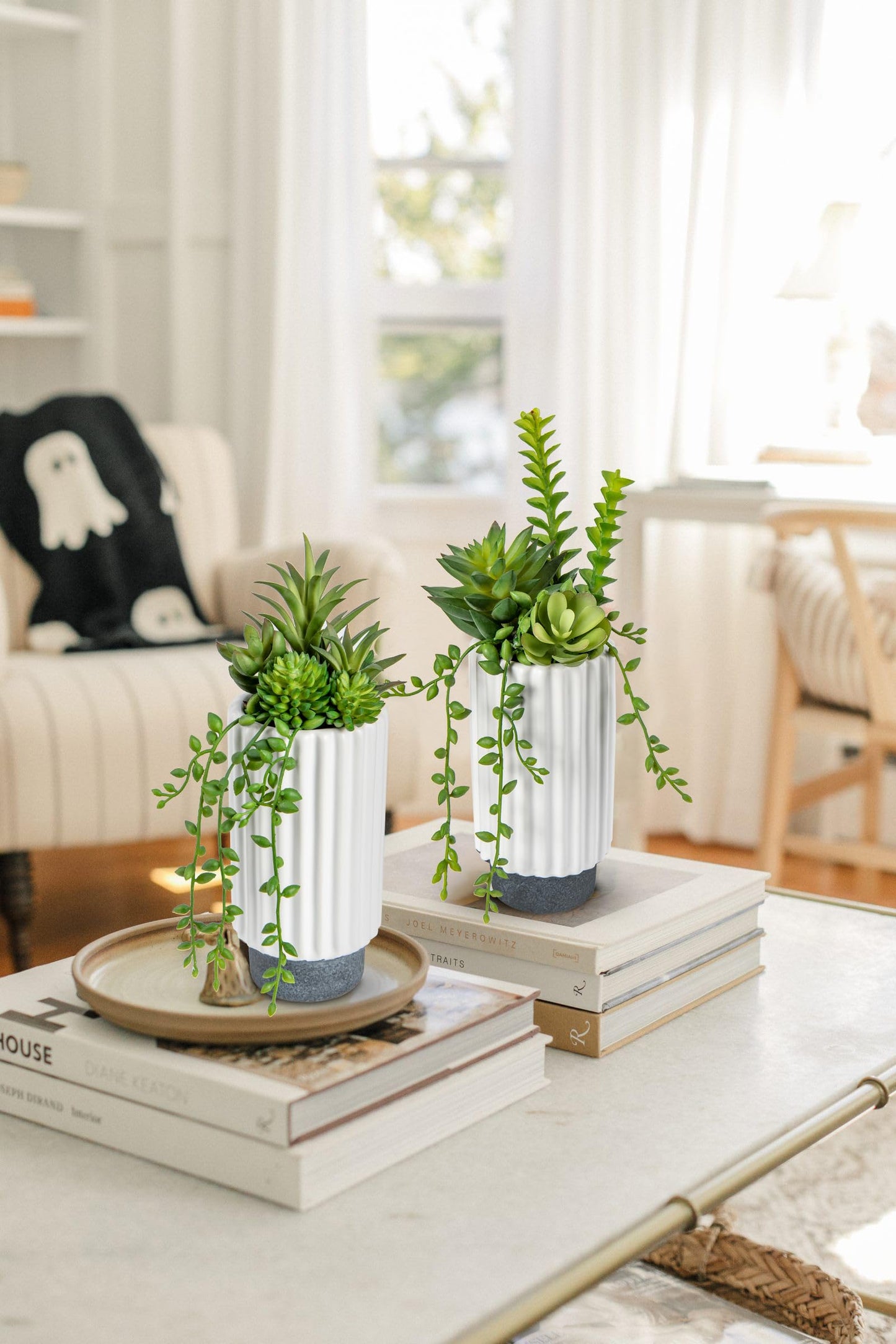 Hollyone Artificial Succulents Plants Set of 2 Faux Succulents 9" Fake Succulent Plants in Ceramic Pot Succulent Plant for Desk Modern Home Living Room Office Table Shelf Bathroom Decor