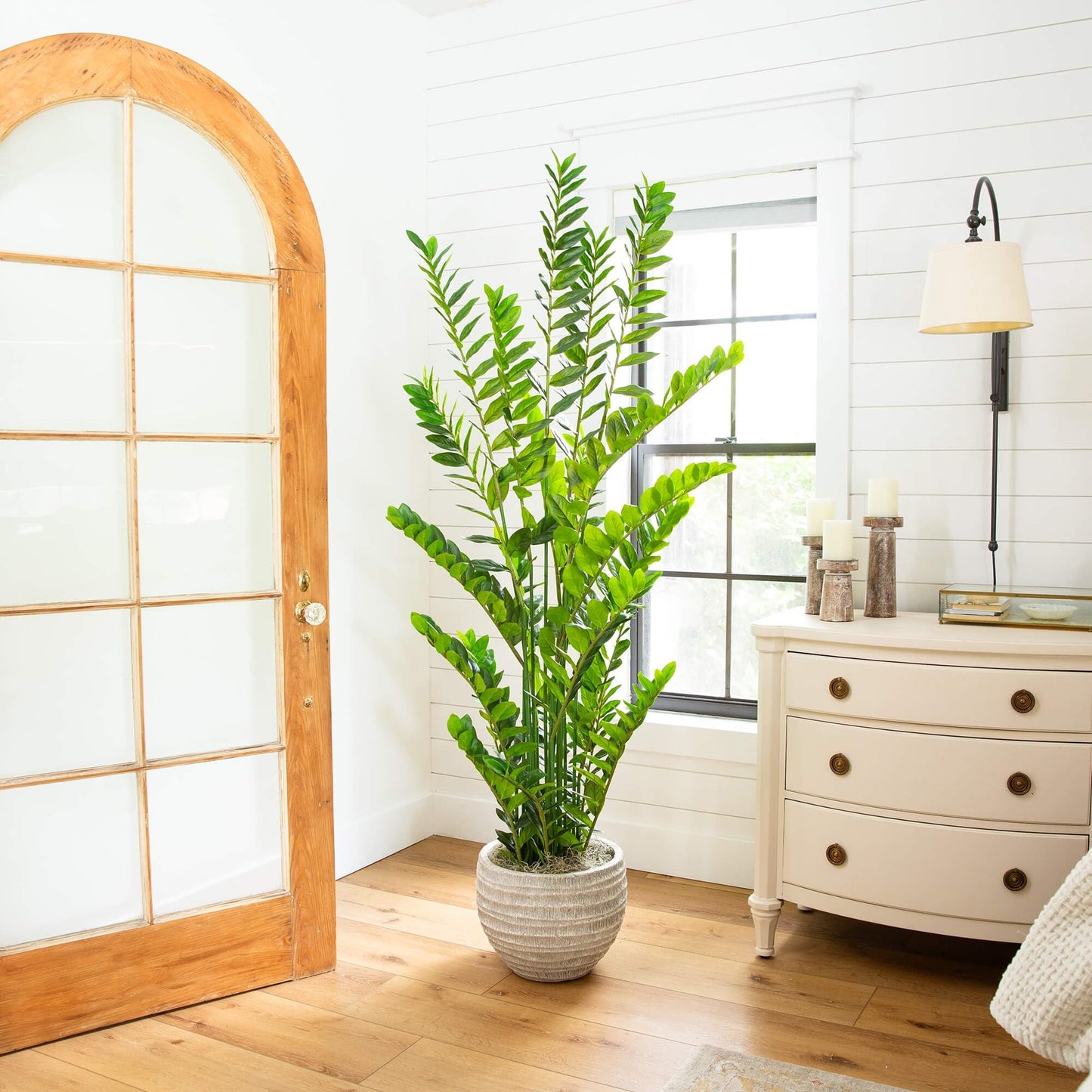 Nearly Natural 6ft Artificial Zamioculcas Plant - Realistic Faux Plant for Home Decor - Premium Materials - Bendable Branches - Year-Round Greenery - Nursery Planter Included